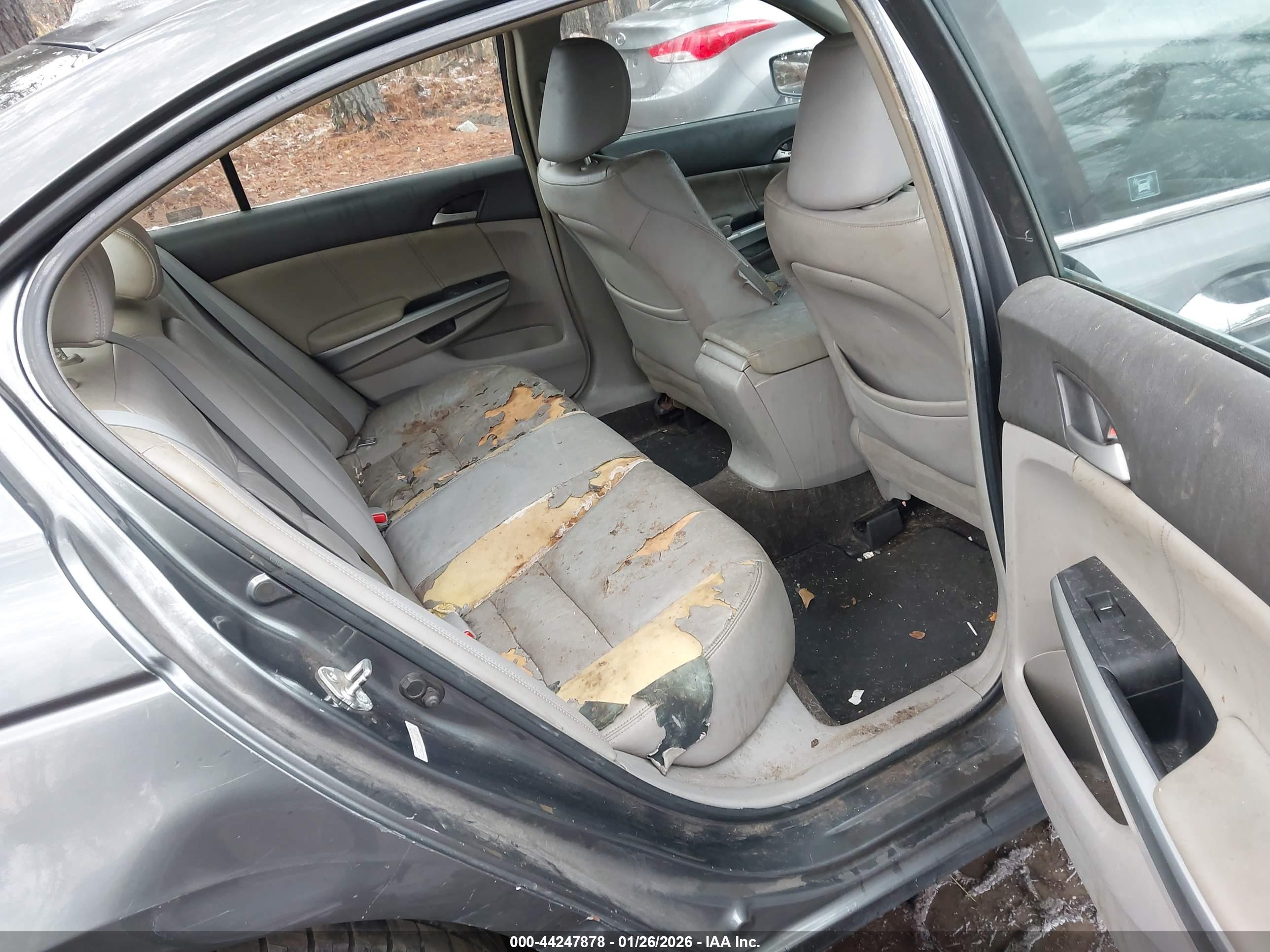 HONDA ACCORD image 8