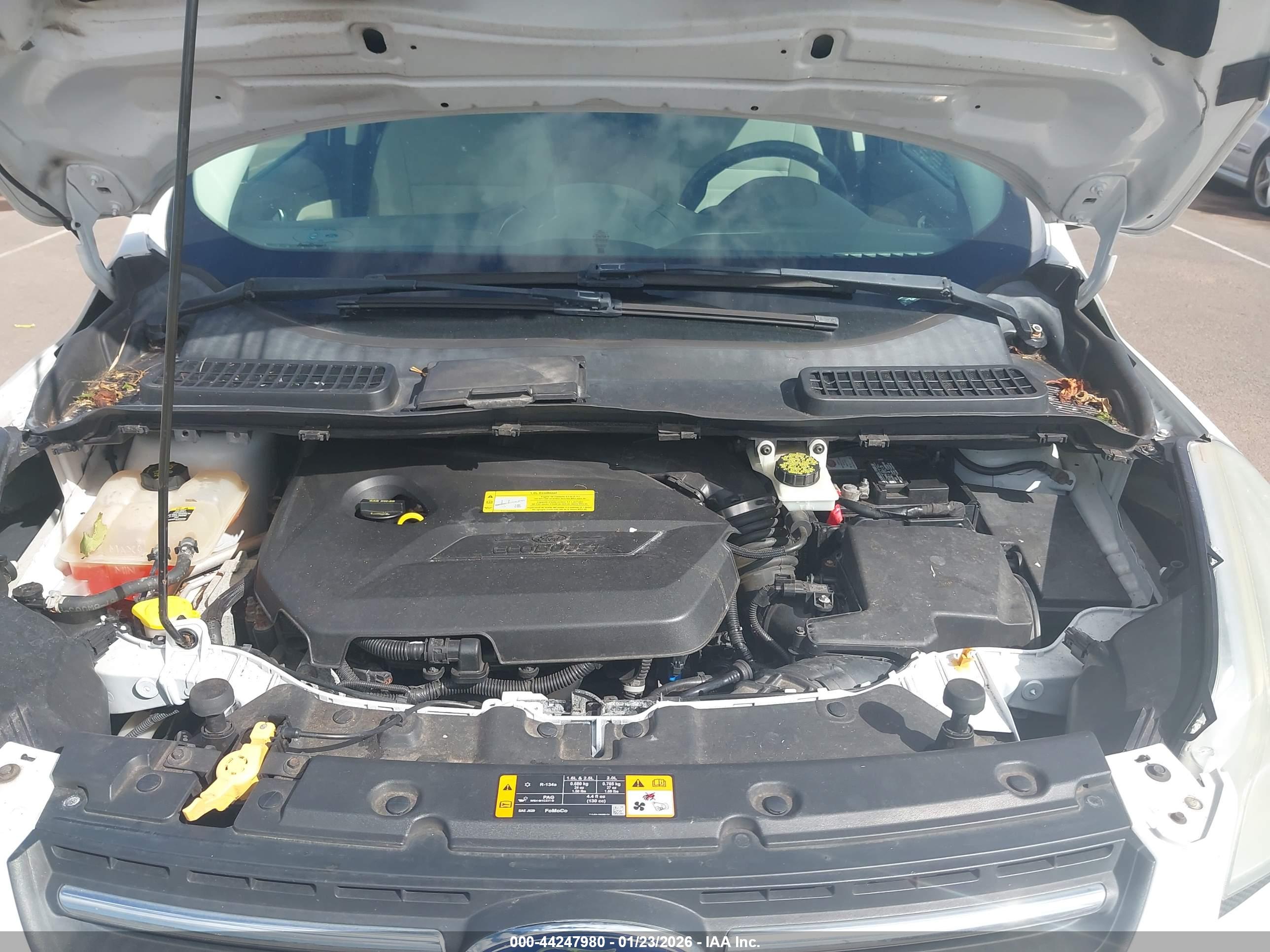 FORD ESCAPE image 10