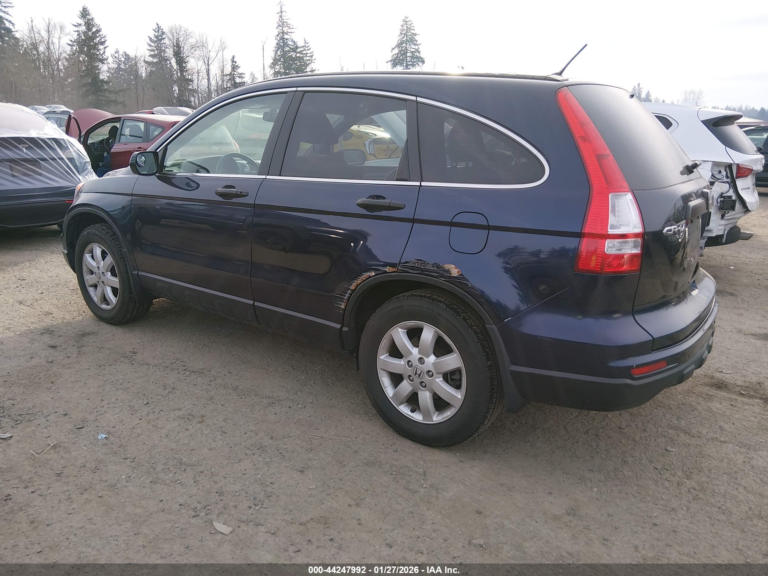 HONDA CR-V image 3