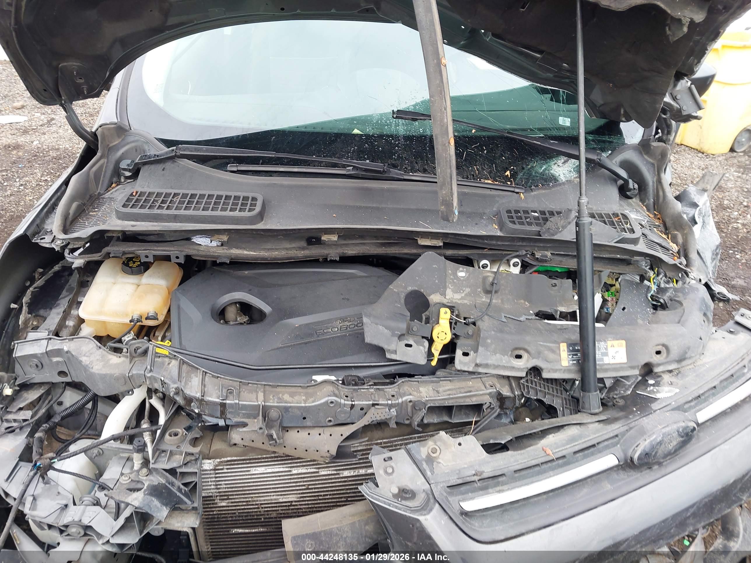 FORD ESCAPE image 10