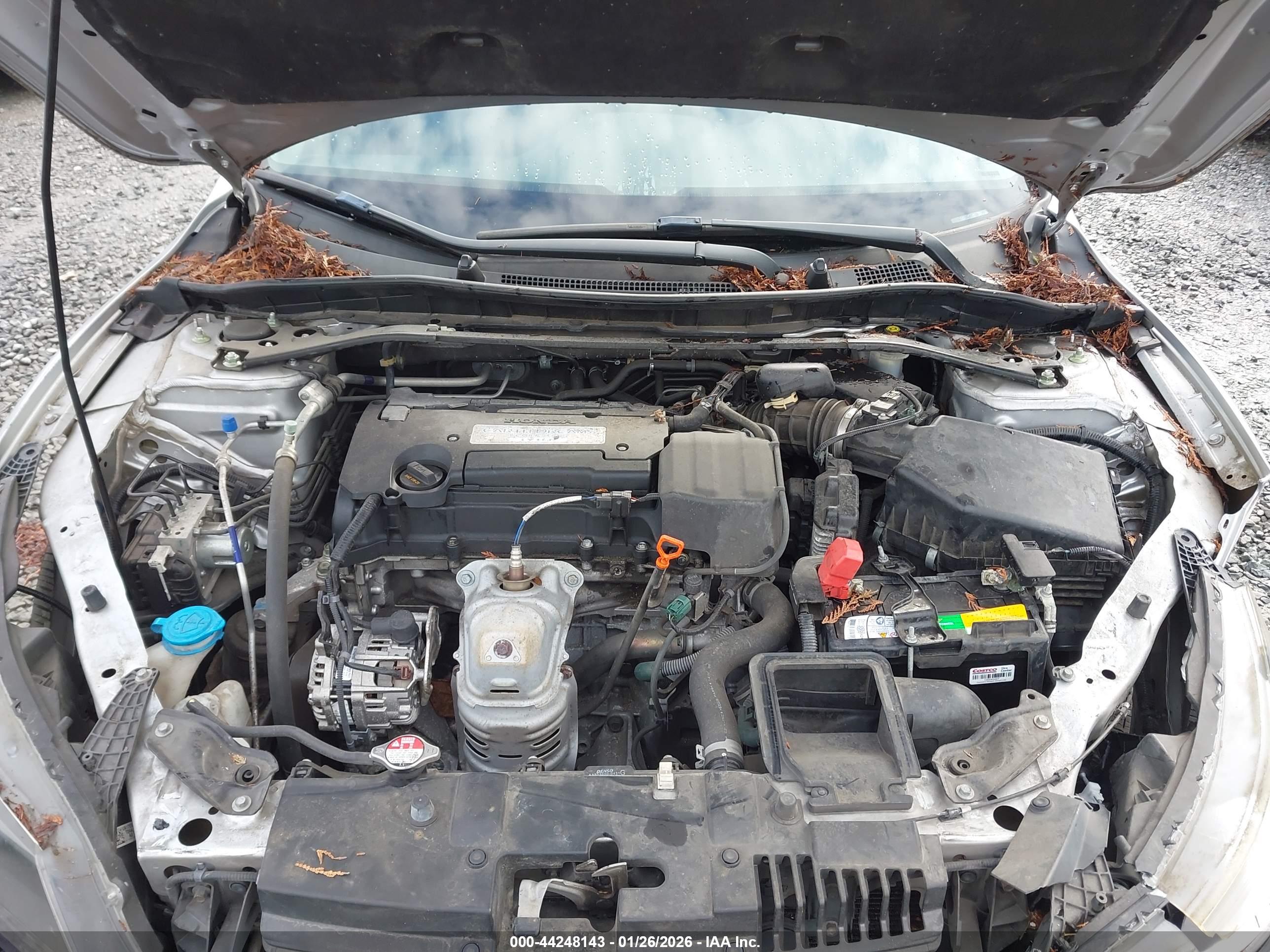 HONDA ACCORD image 10
