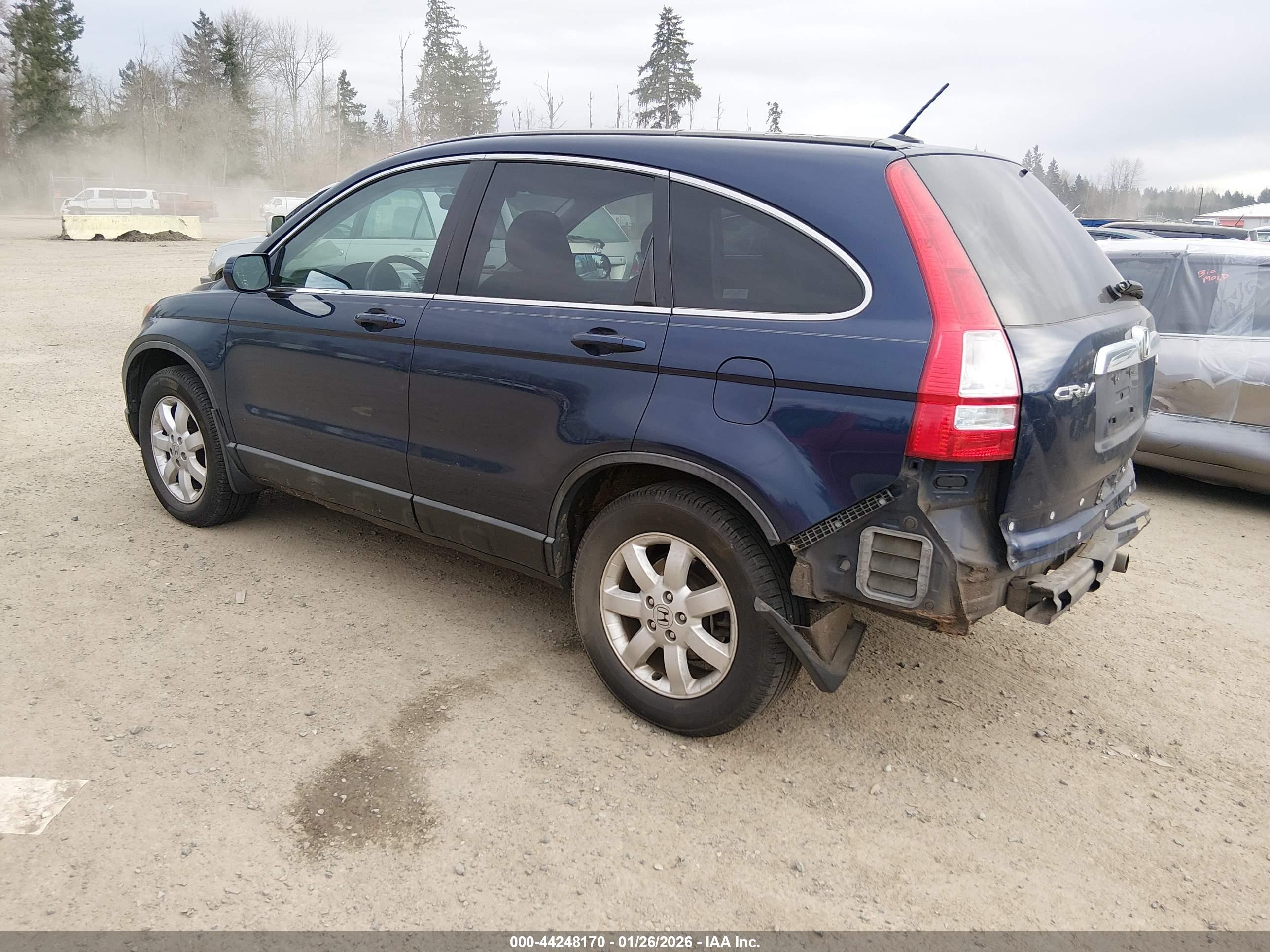 HONDA CR-V image 3