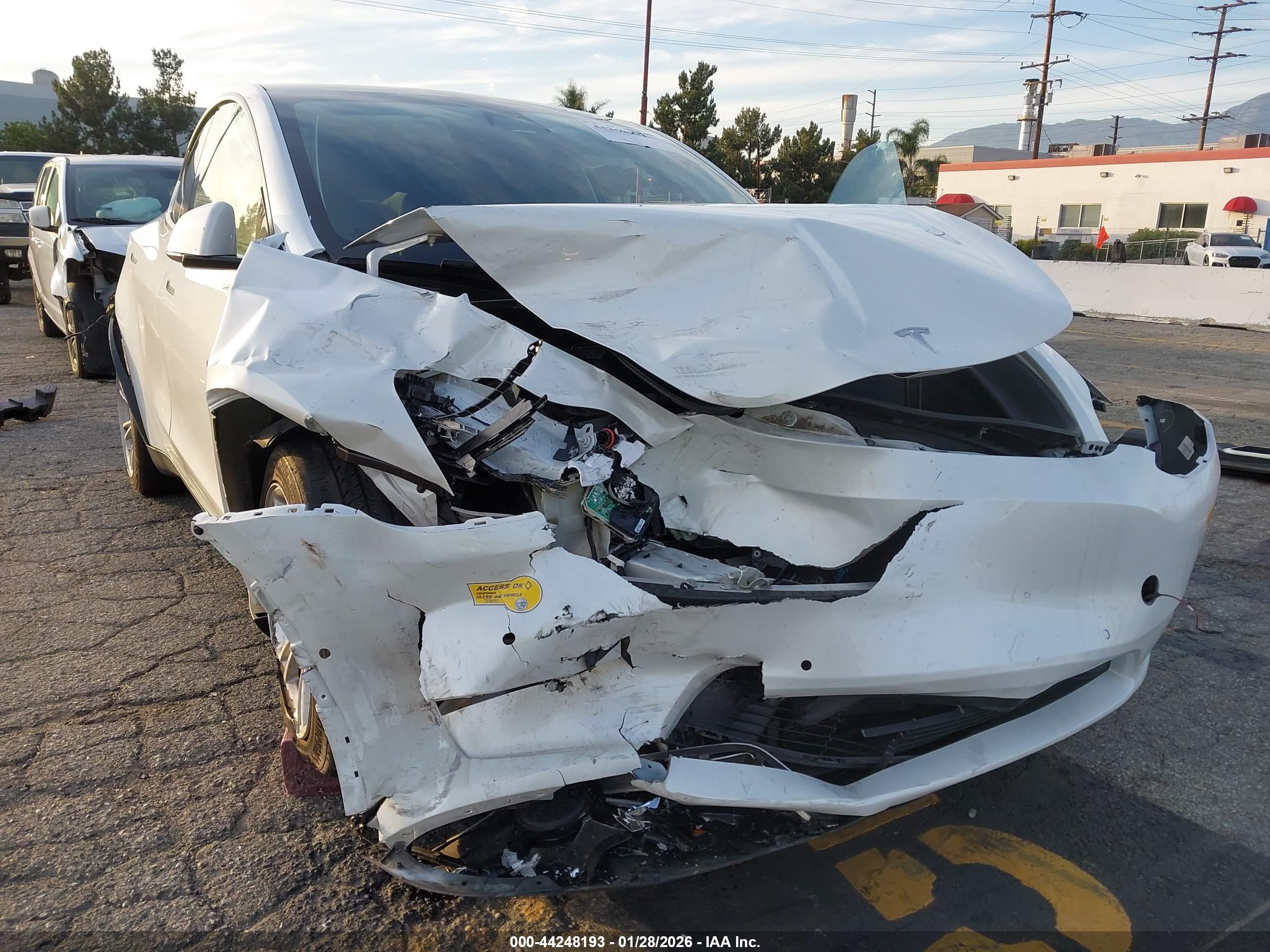TESLA MODEL image 6