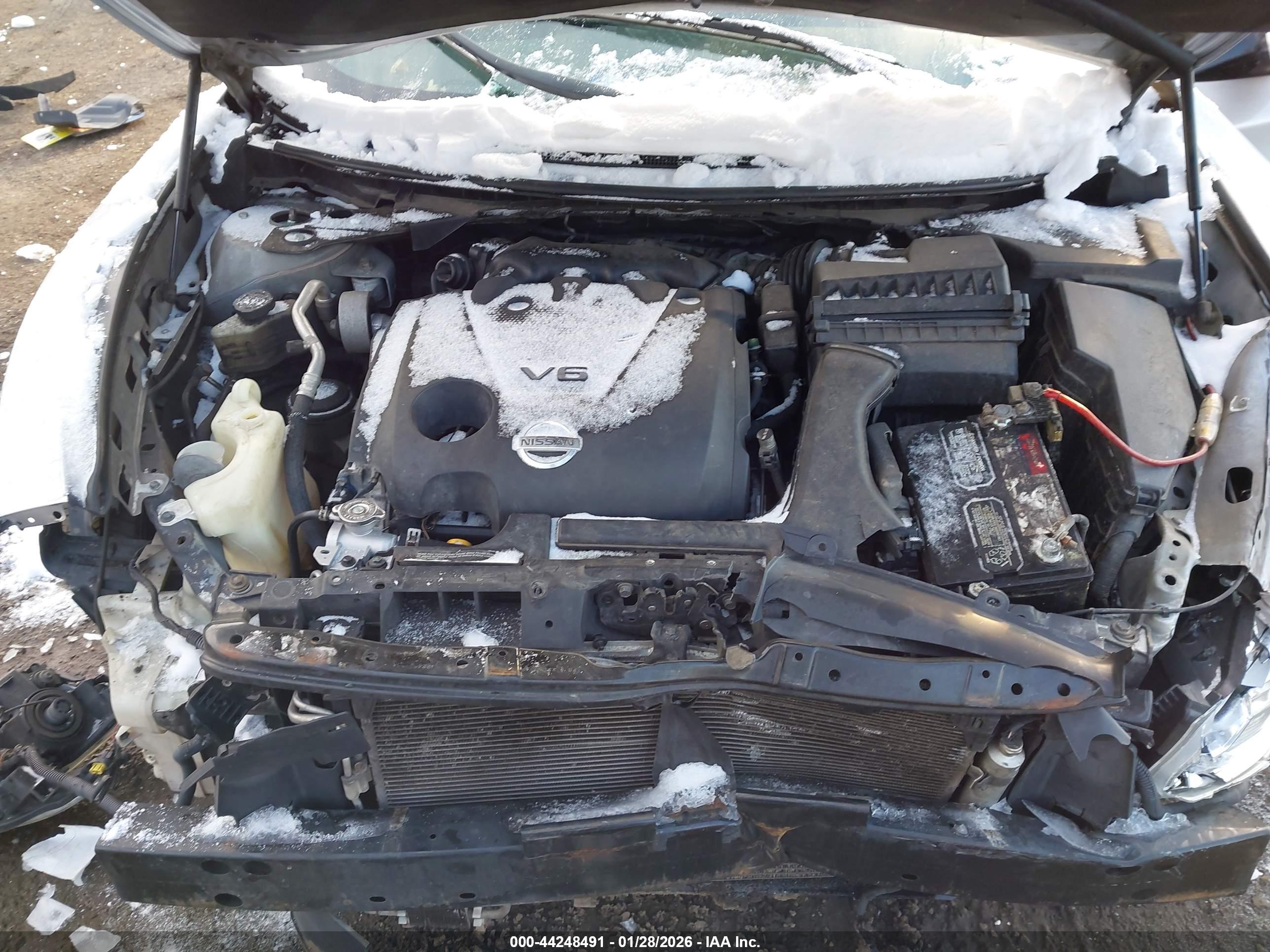NISSAN MAXIMA image 10