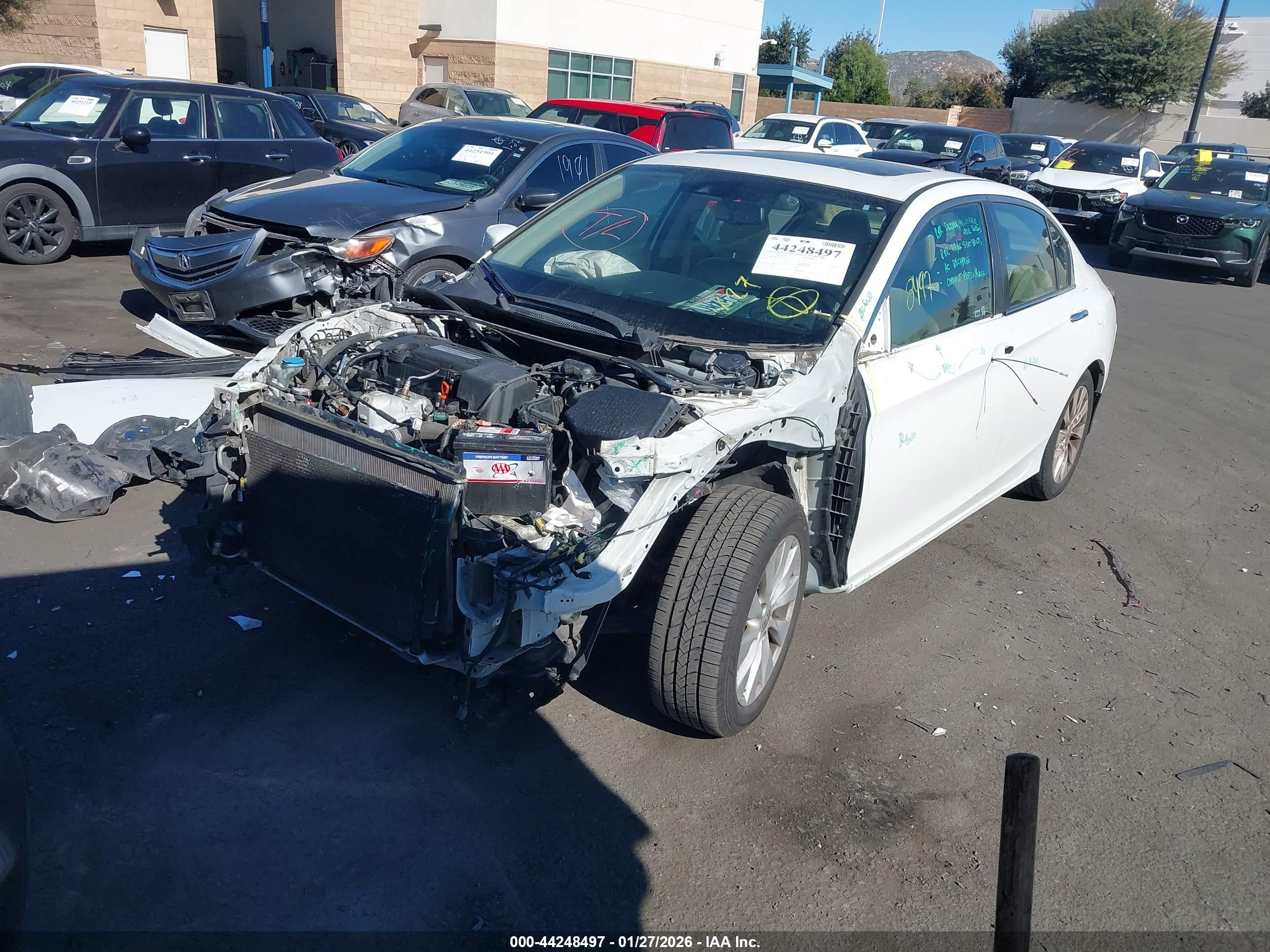 HONDA ACCORD image 2