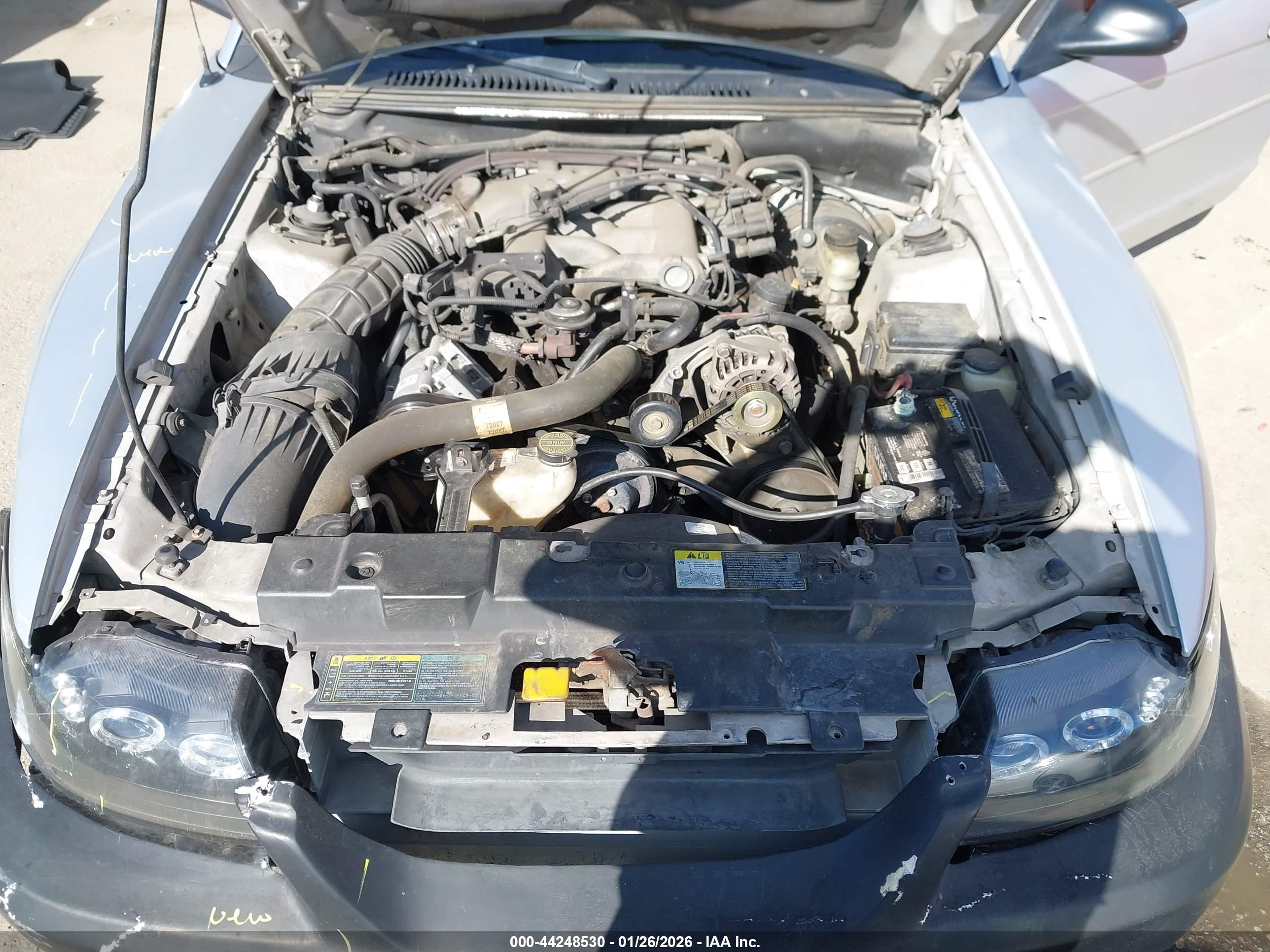 FORD MUSTANG image 10