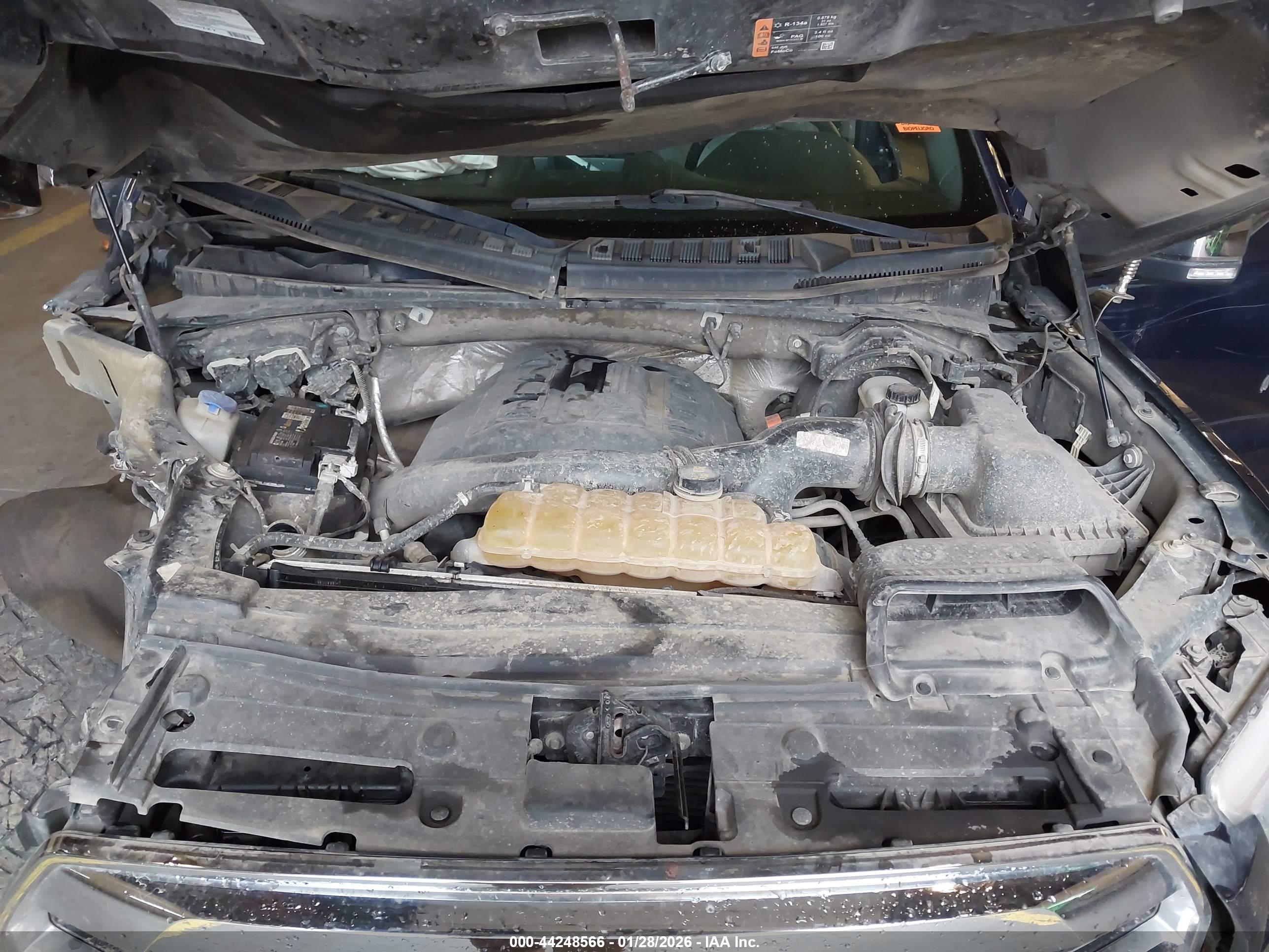 FORD F-150 image 10