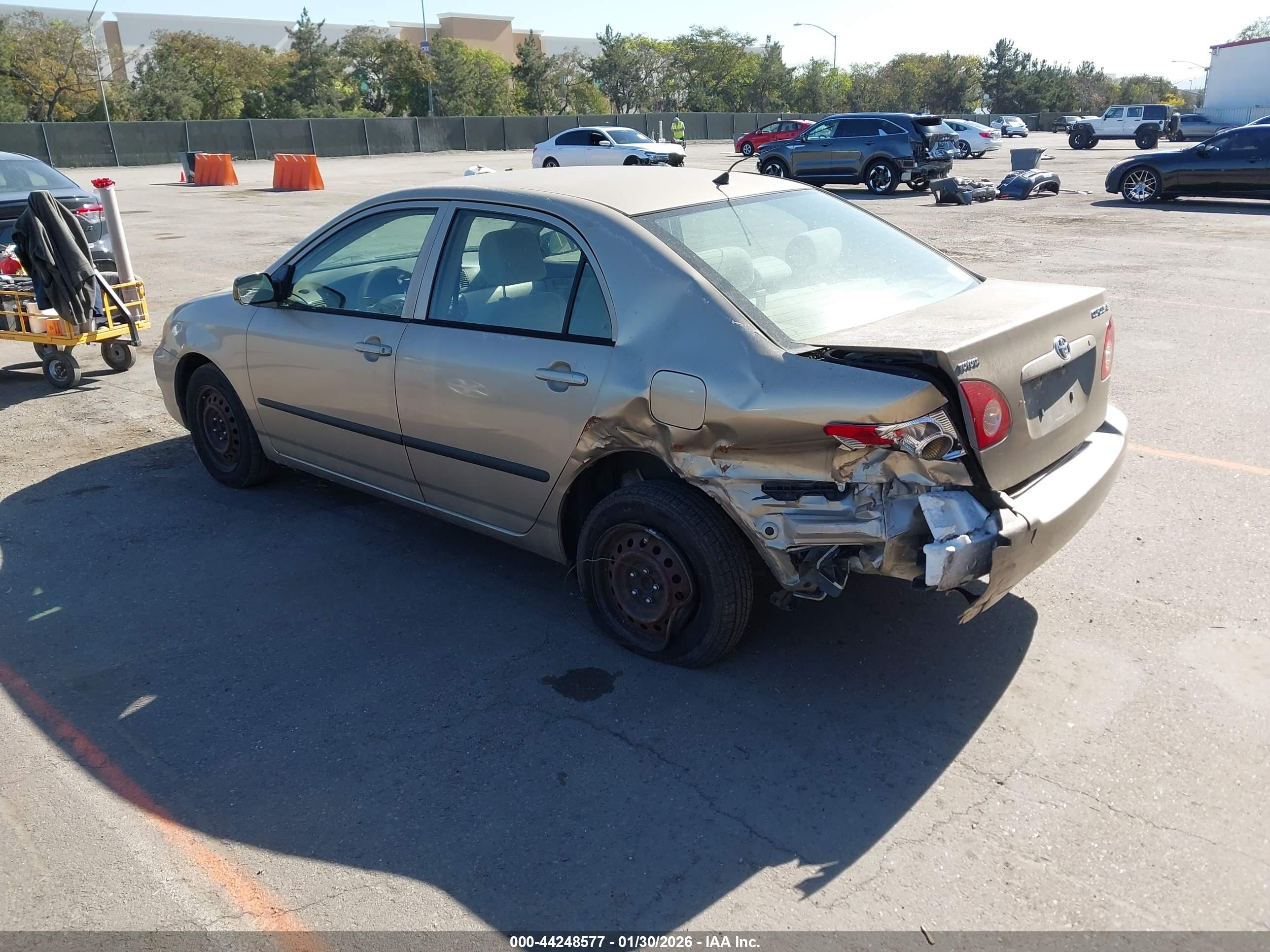 TOYOTA COROLLA image 3
