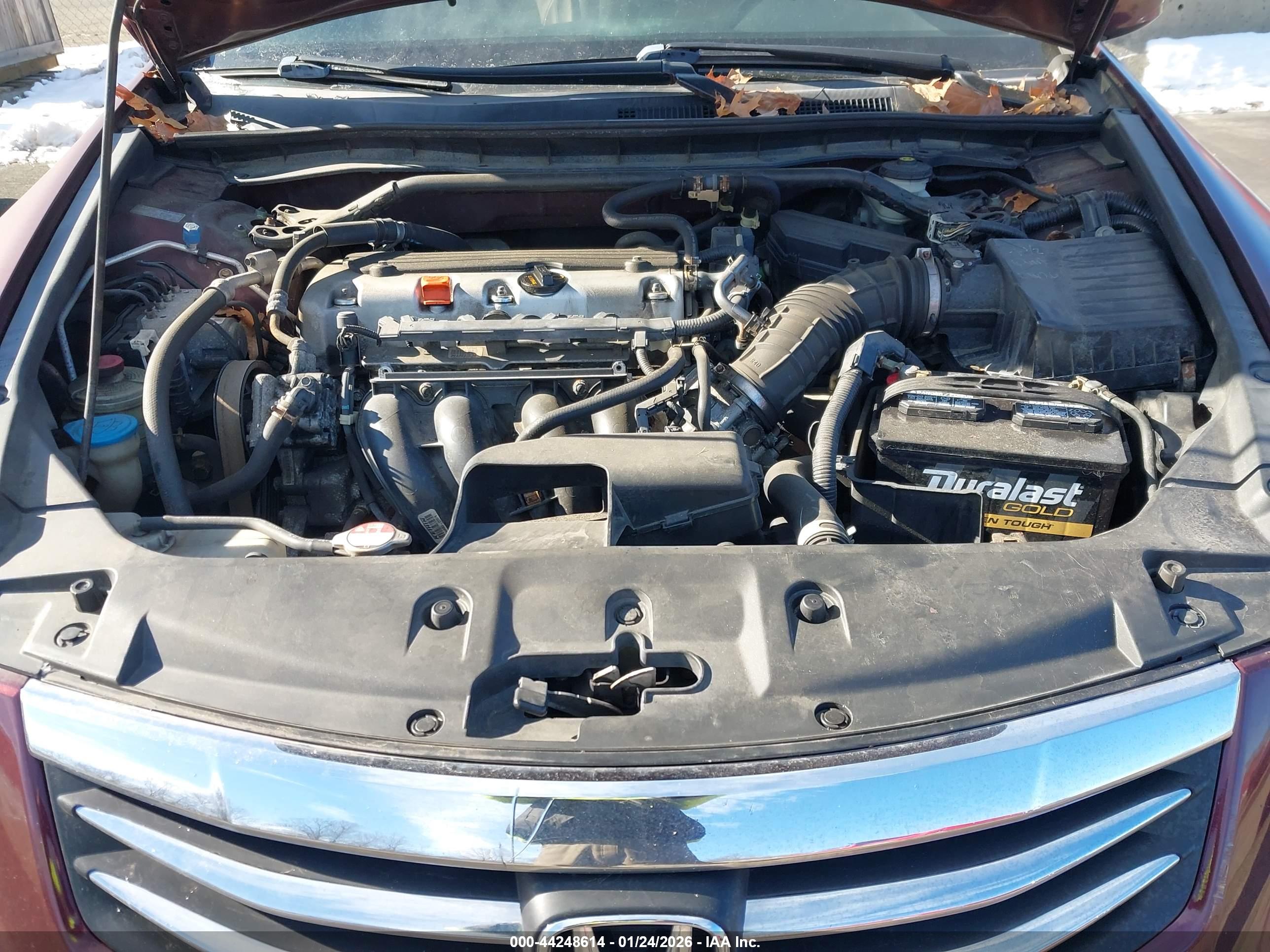 HONDA ACCORD image 10