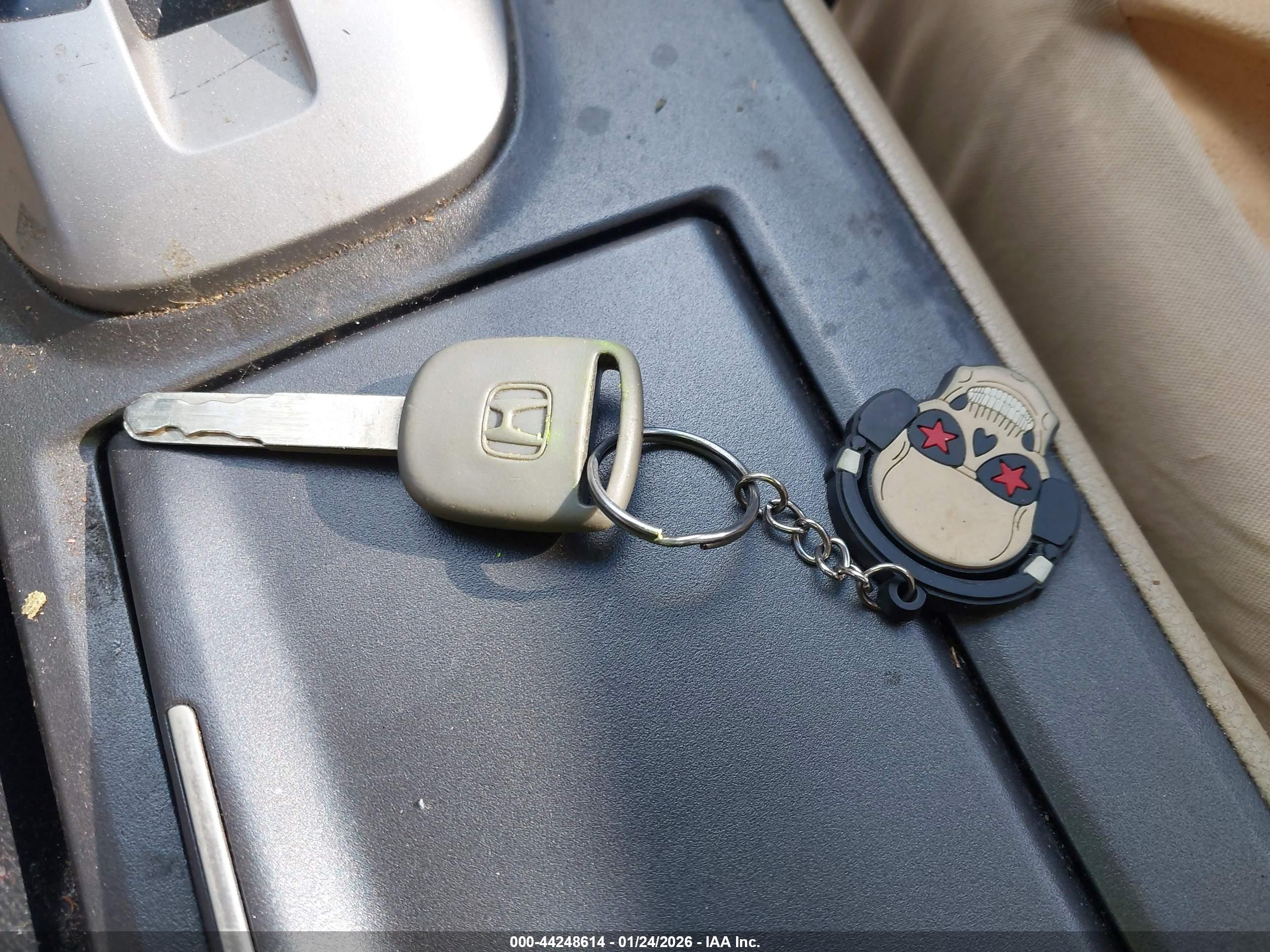 HONDA ACCORD image 11