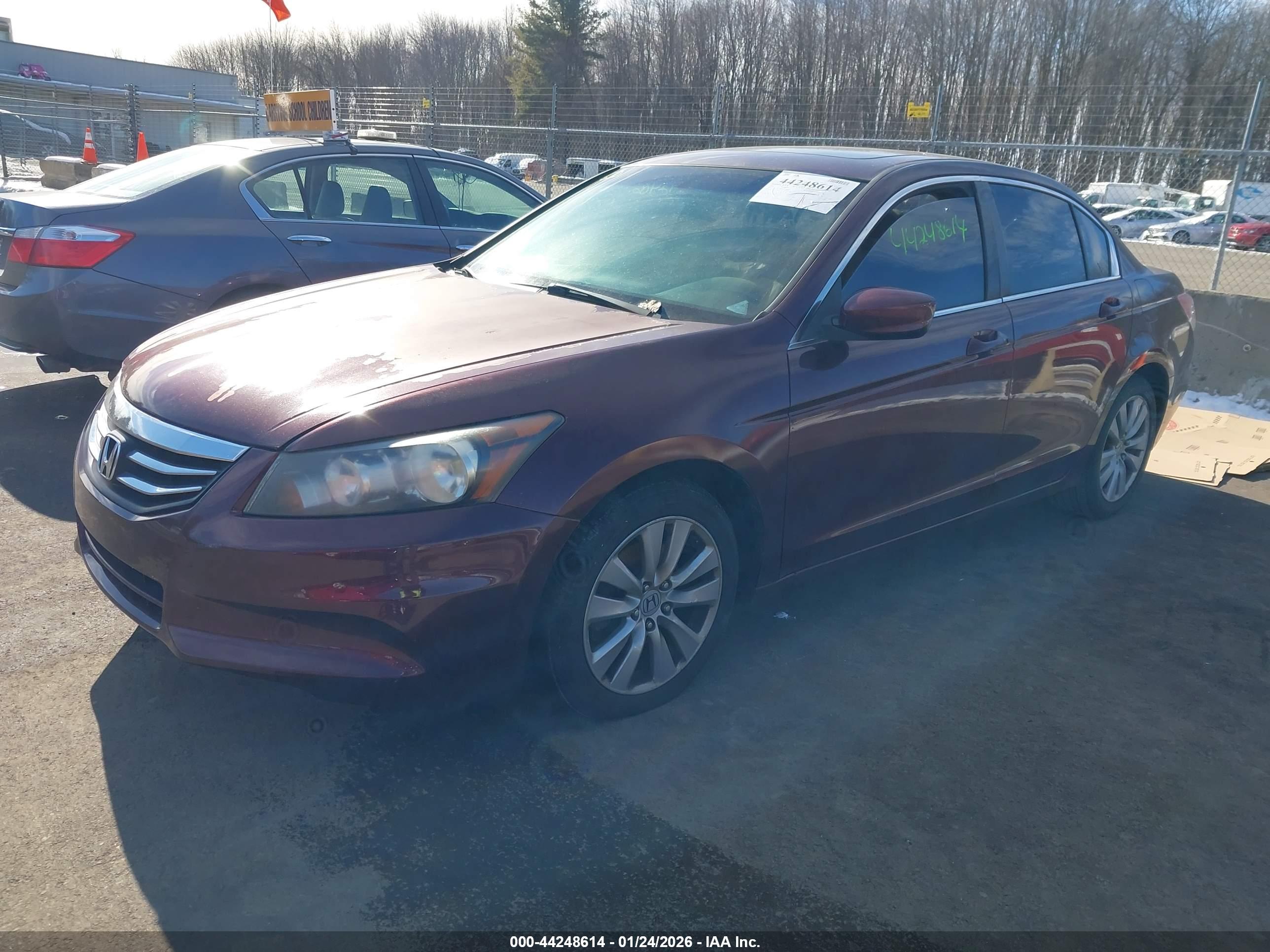 HONDA ACCORD image 2