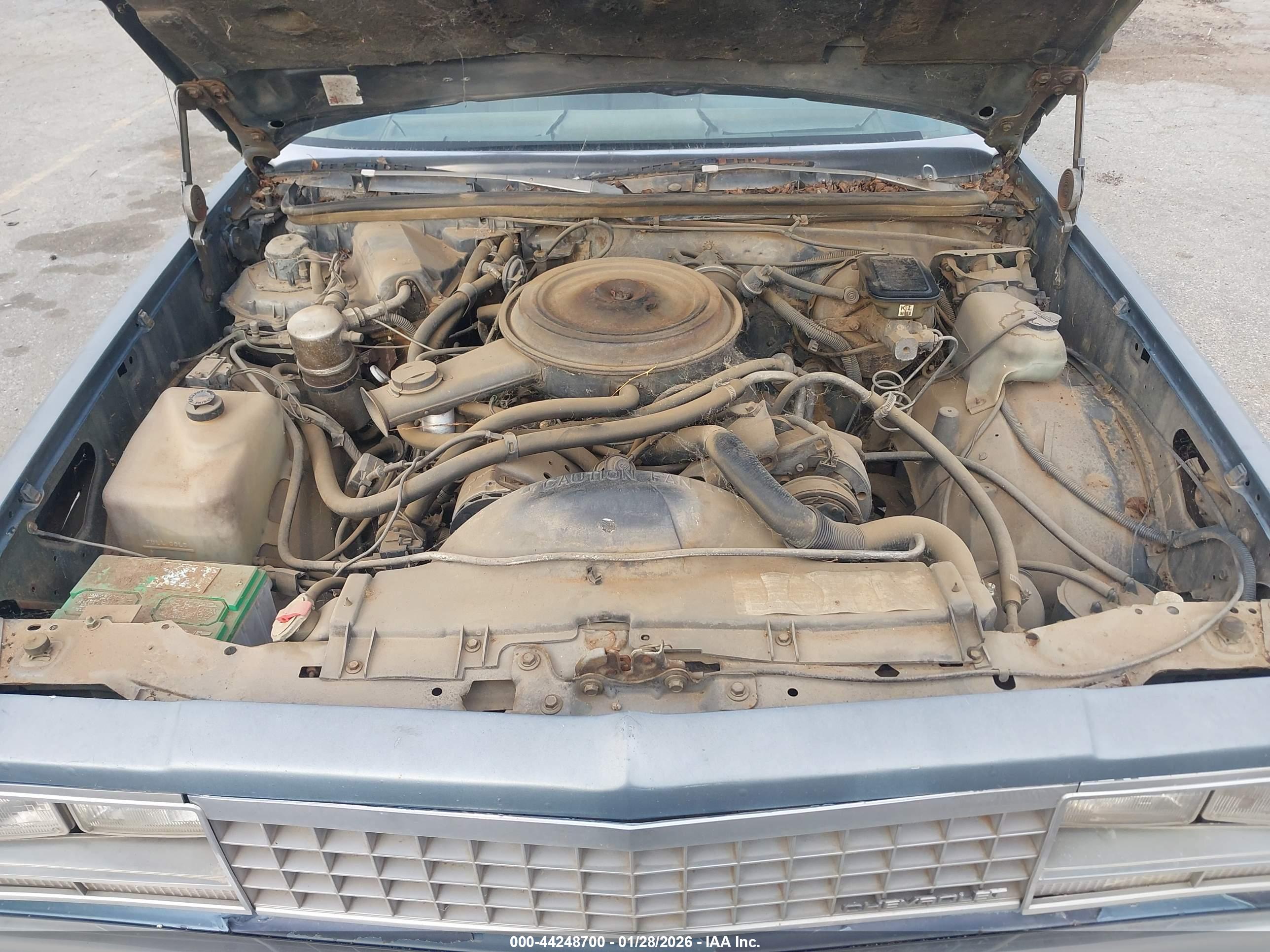 CHEVROLET EL image 10