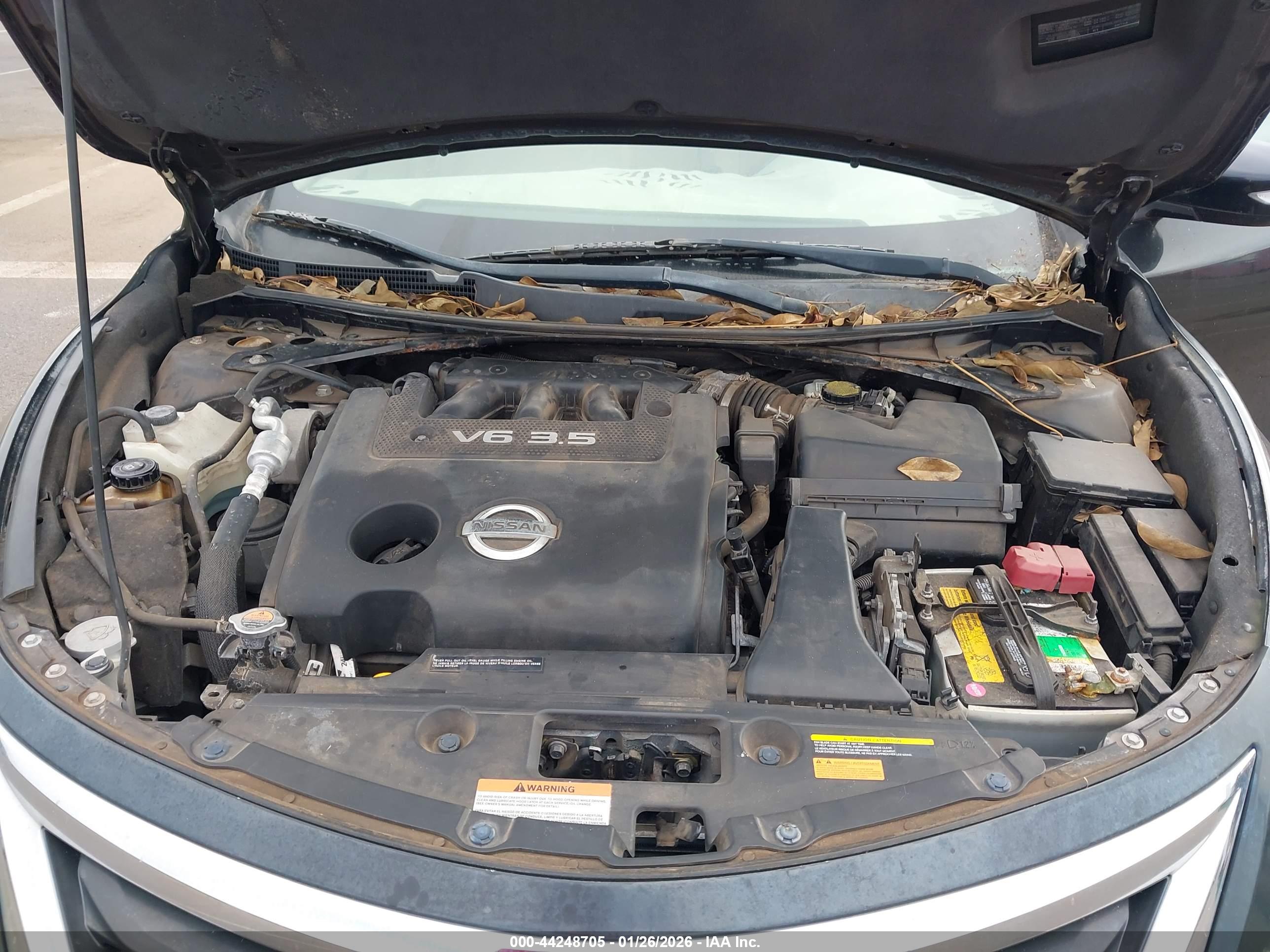 NISSAN ALTIMA image 10