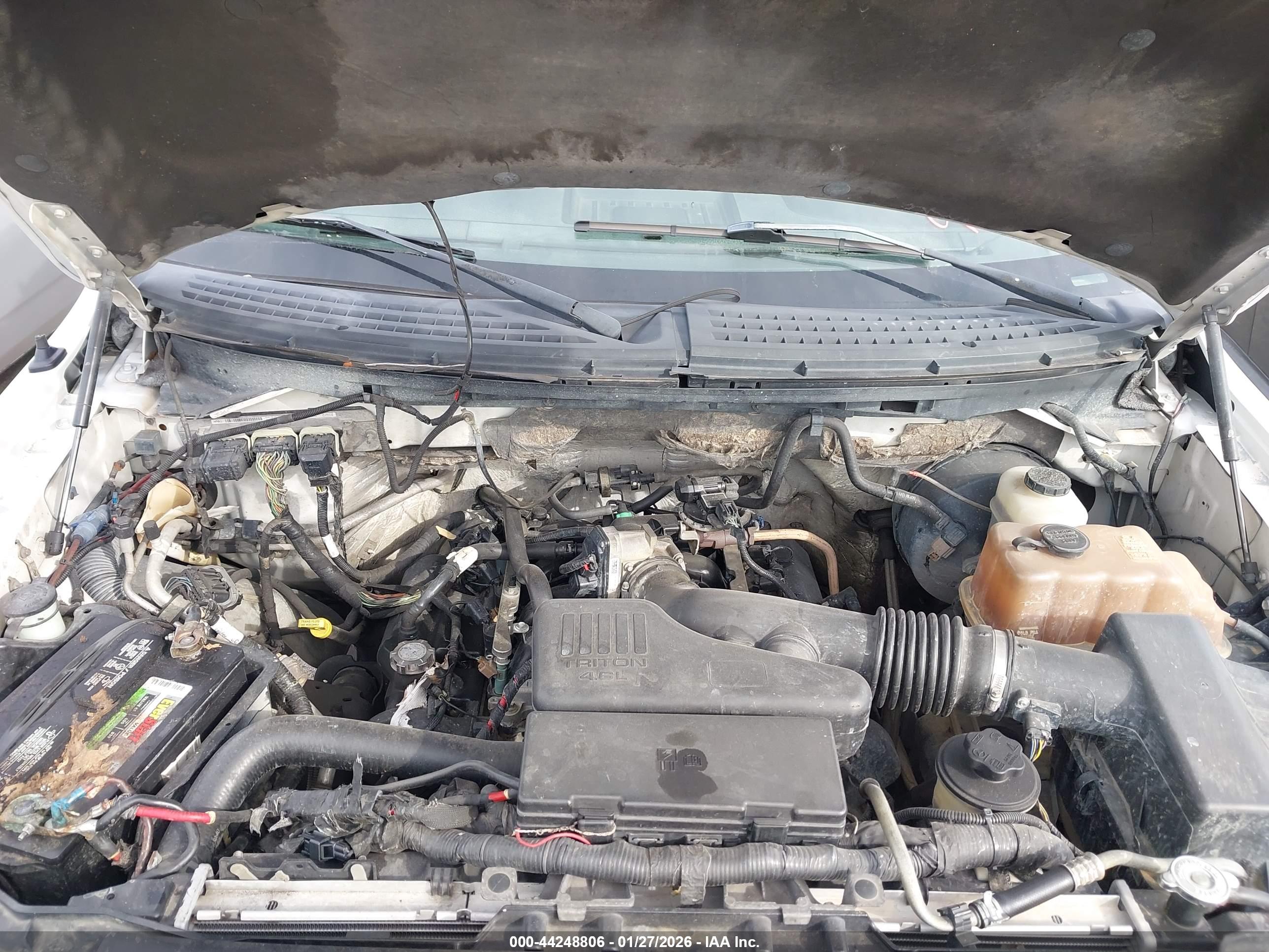 FORD F-150 image 10