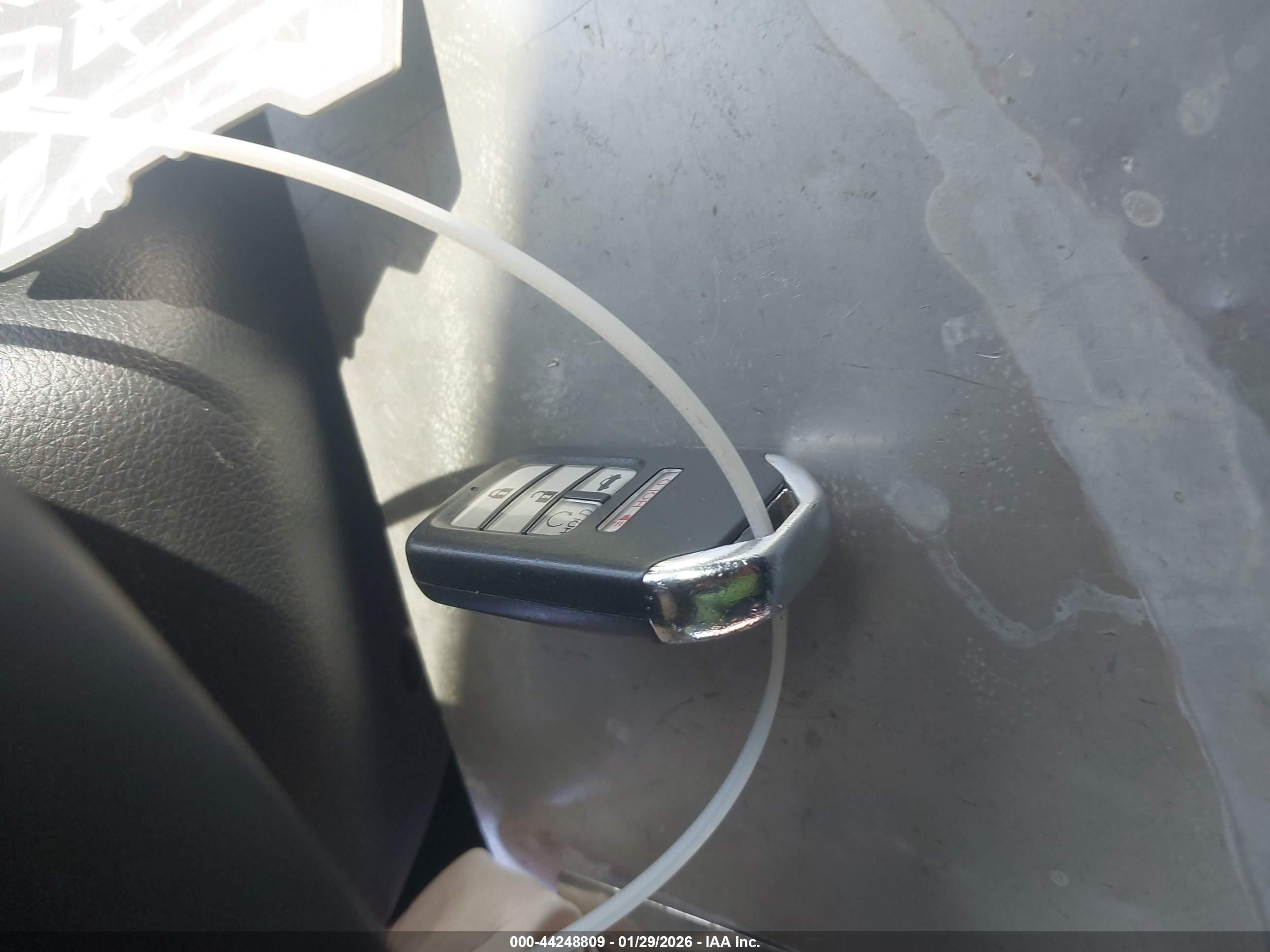 HONDA ACCORD image 11