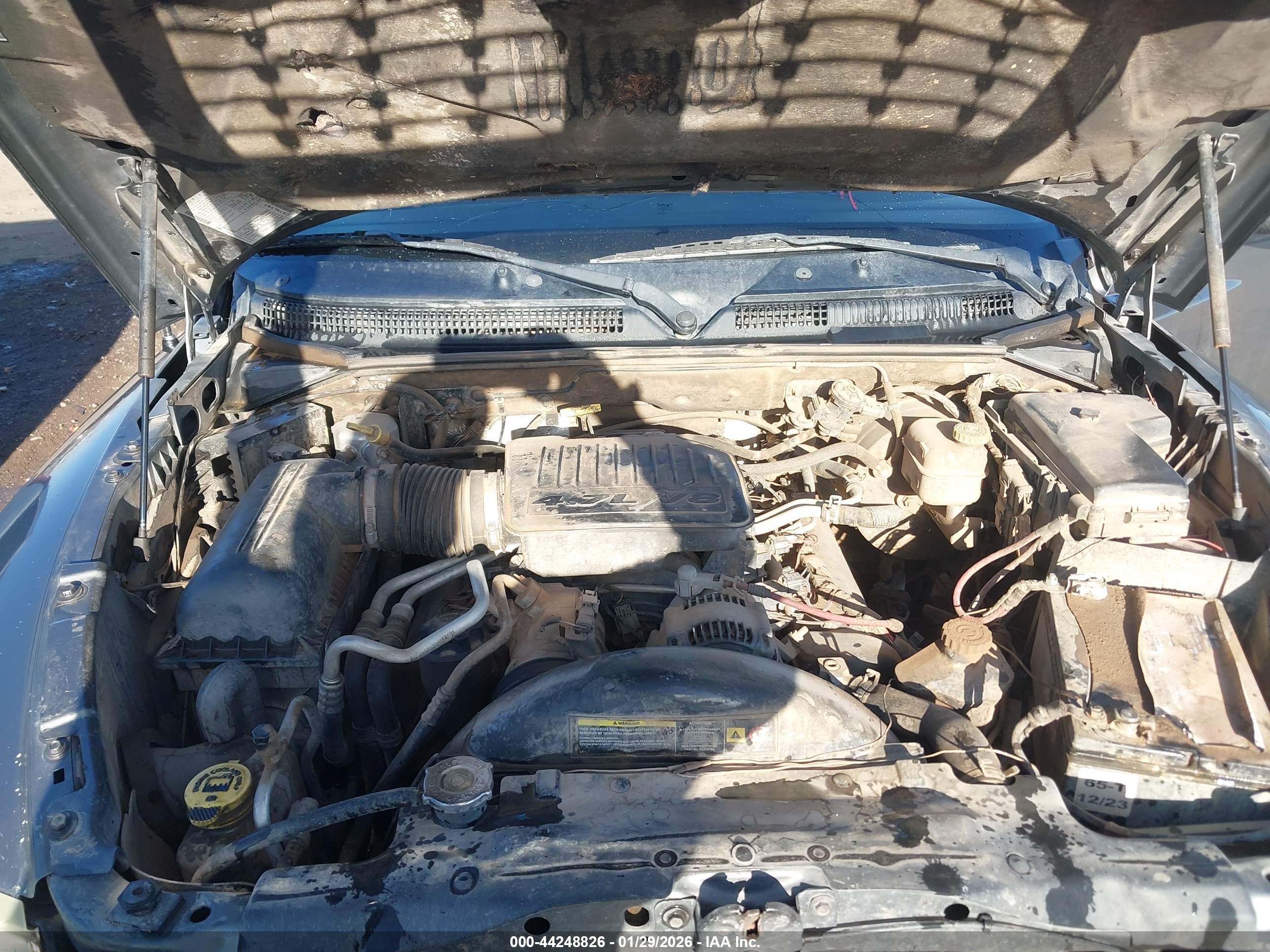 DODGE DAKOTA image 10