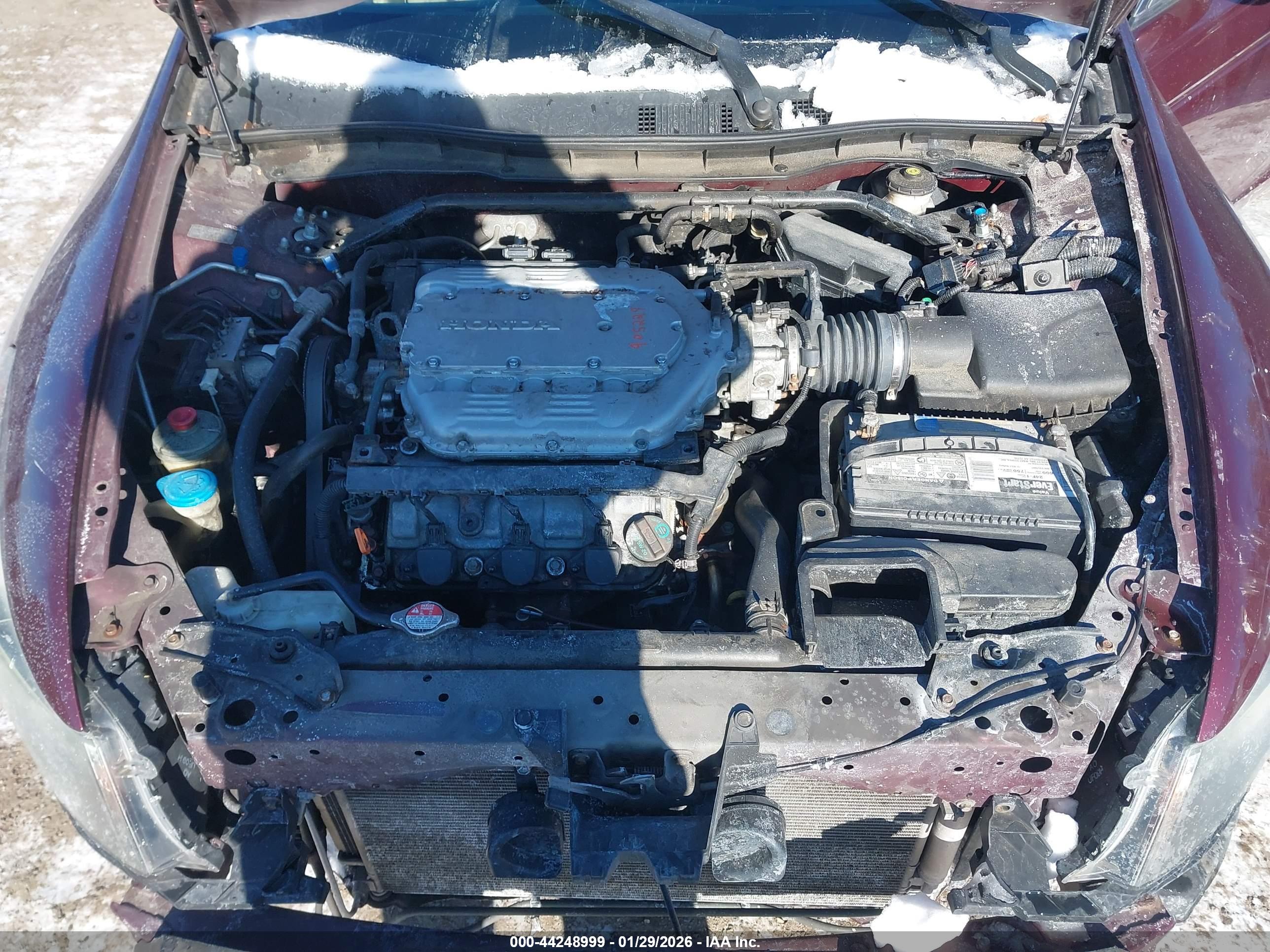 HONDA ACCORD image 10