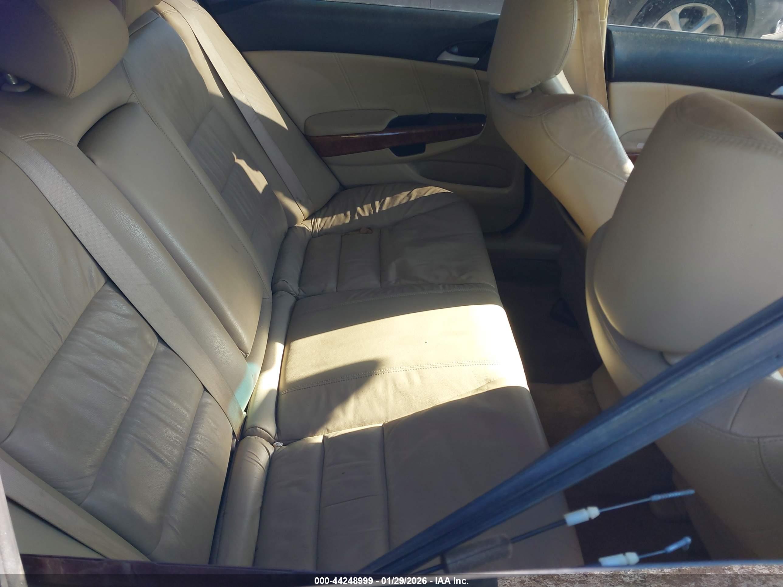 HONDA ACCORD image 8