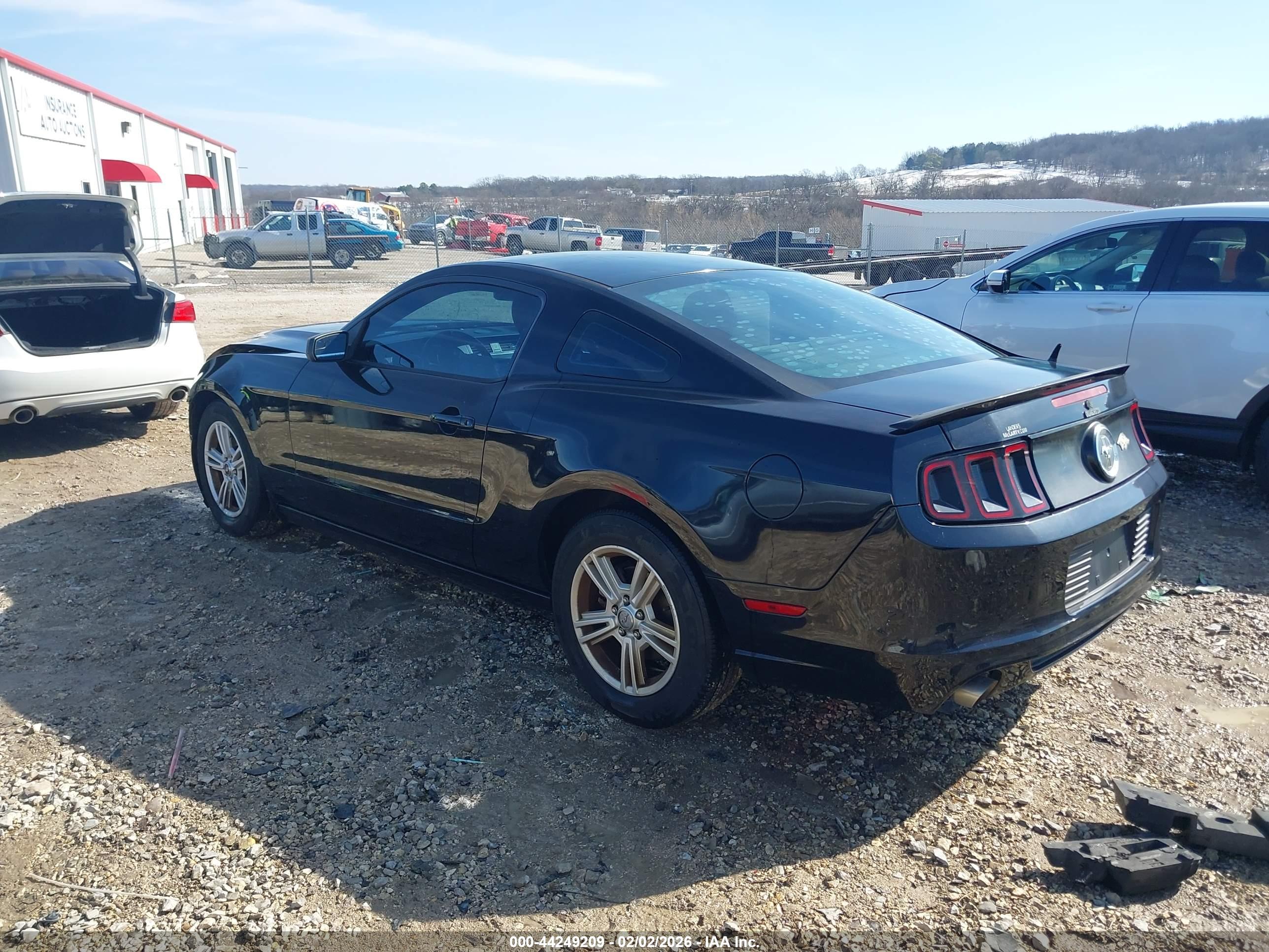 FORD MUSTANG image 3
