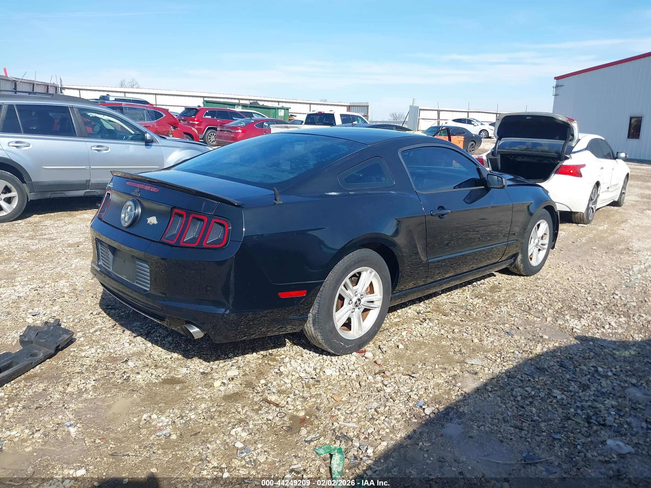 FORD MUSTANG image 4