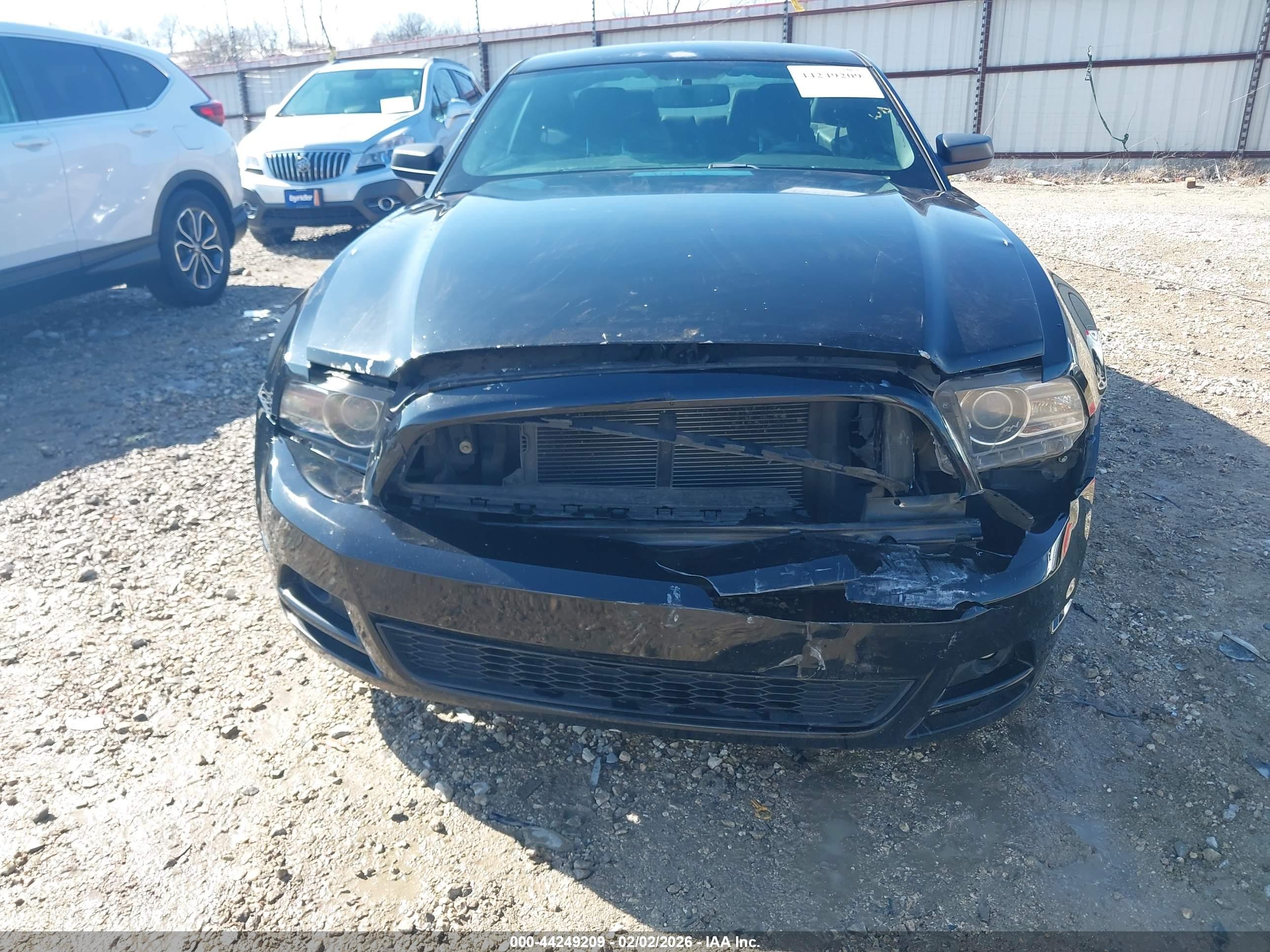 FORD MUSTANG image 6