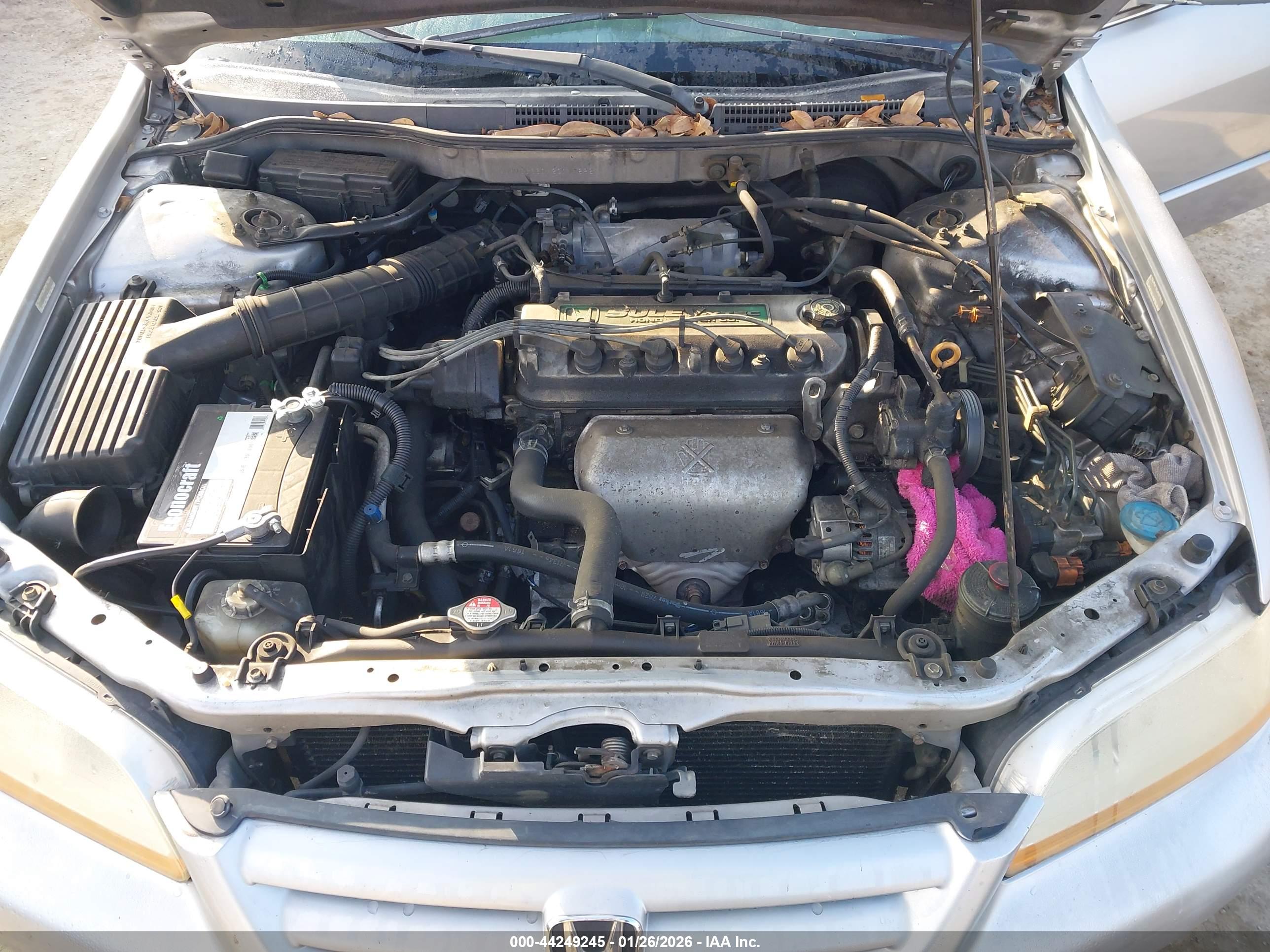 HONDA ACCORD image 10