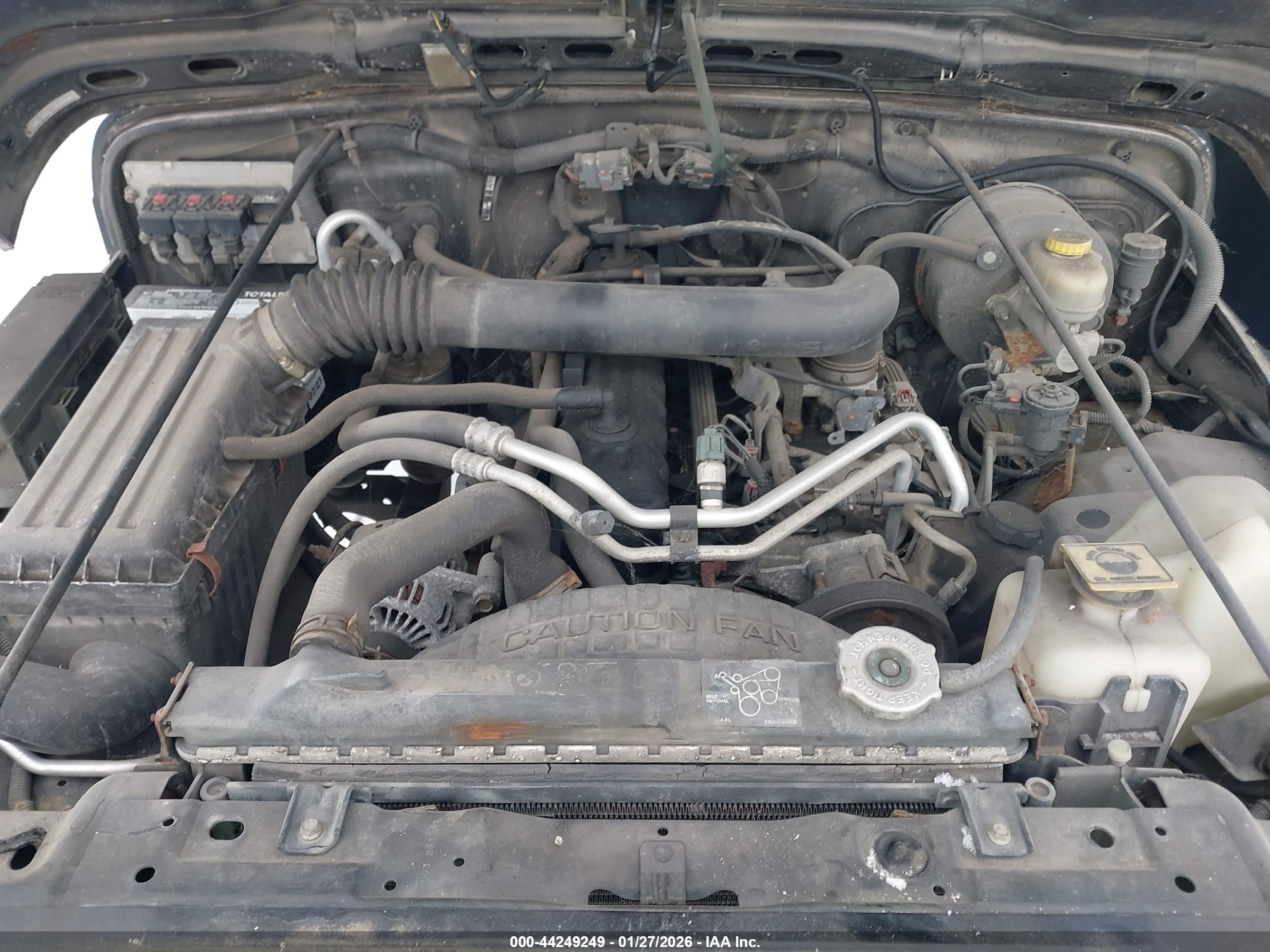 JEEP WRANGLER image 10