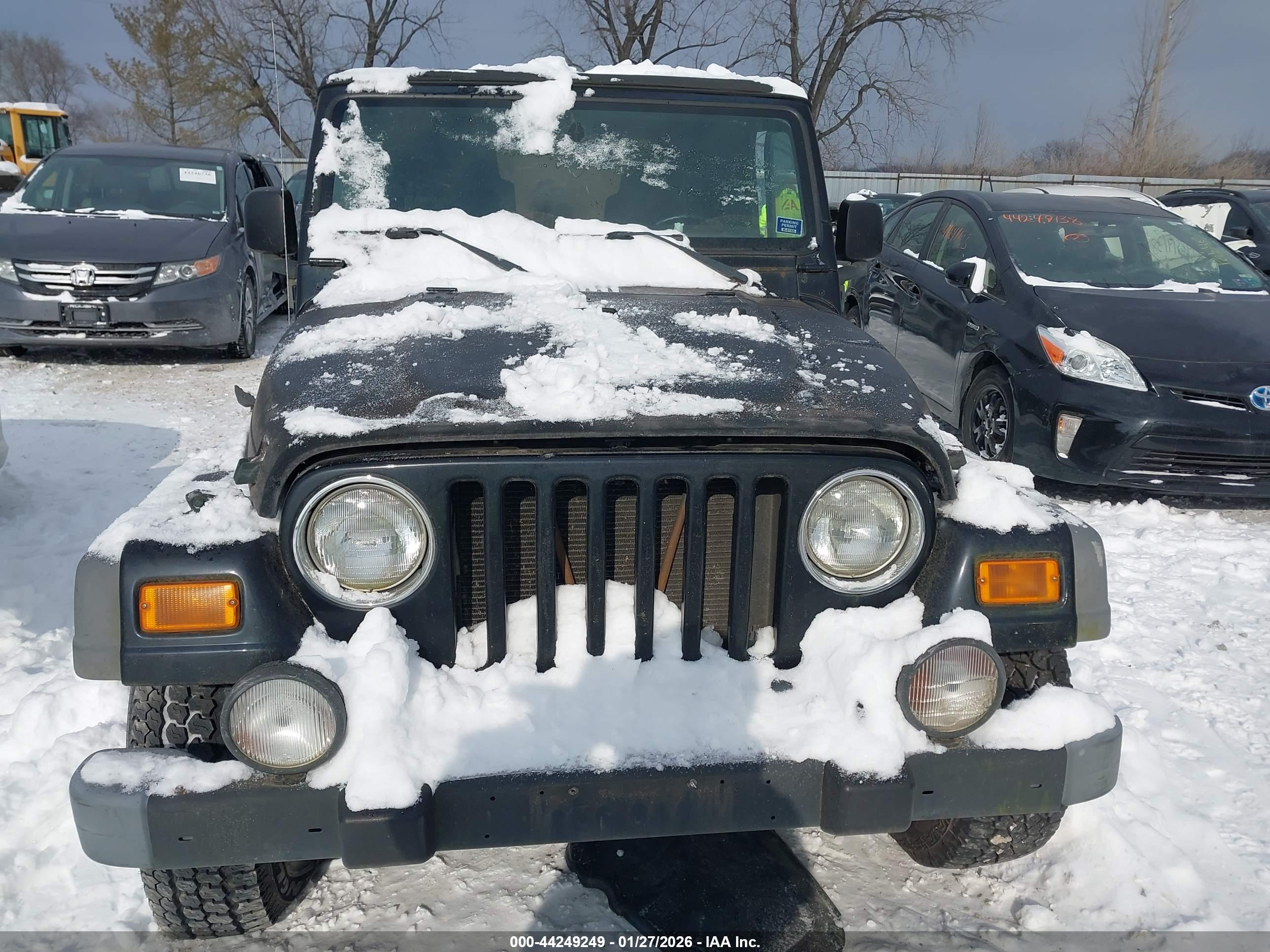 JEEP WRANGLER image 6