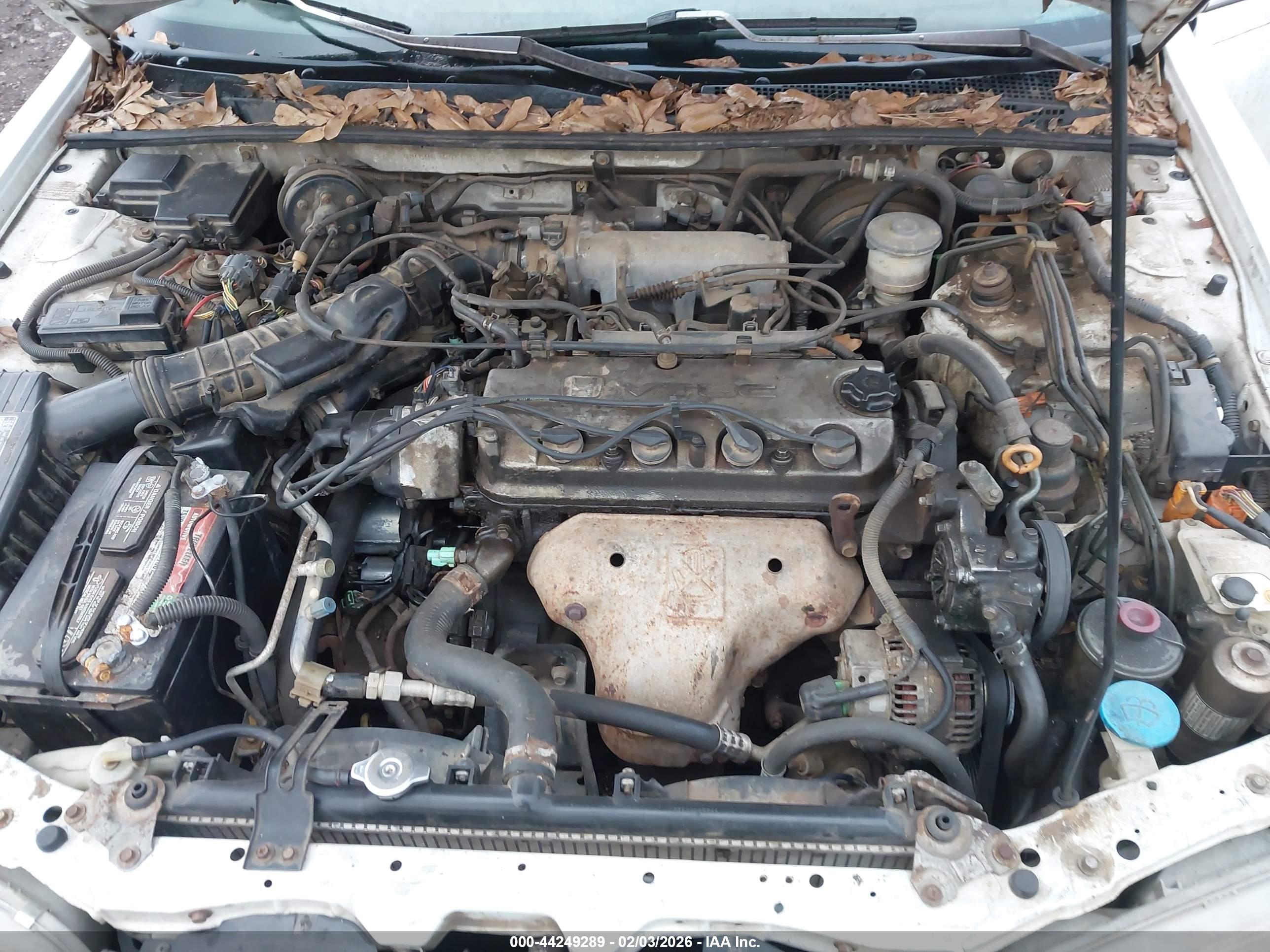 HONDA ACCORD image 10