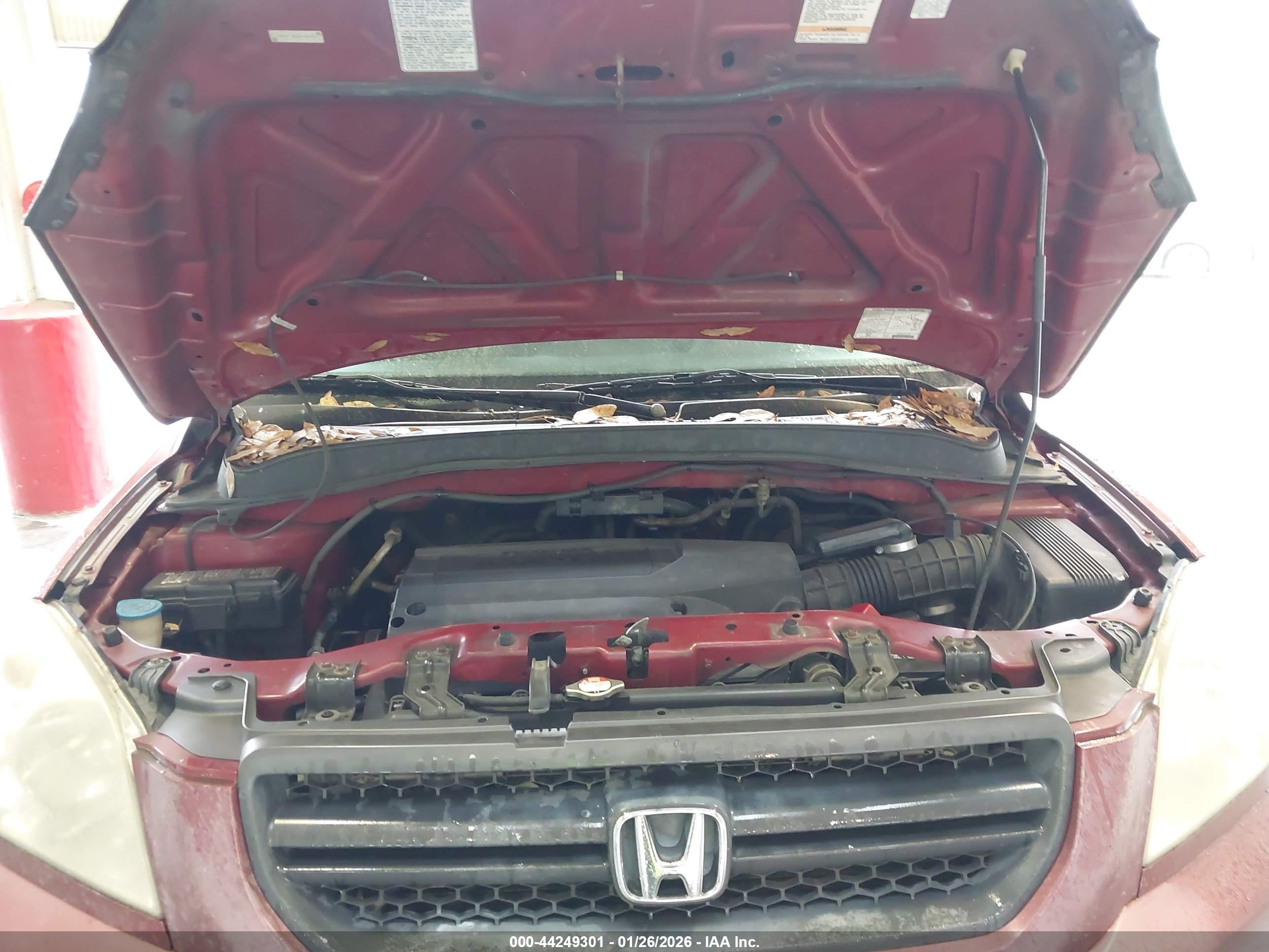 HONDA PILOT image 10
