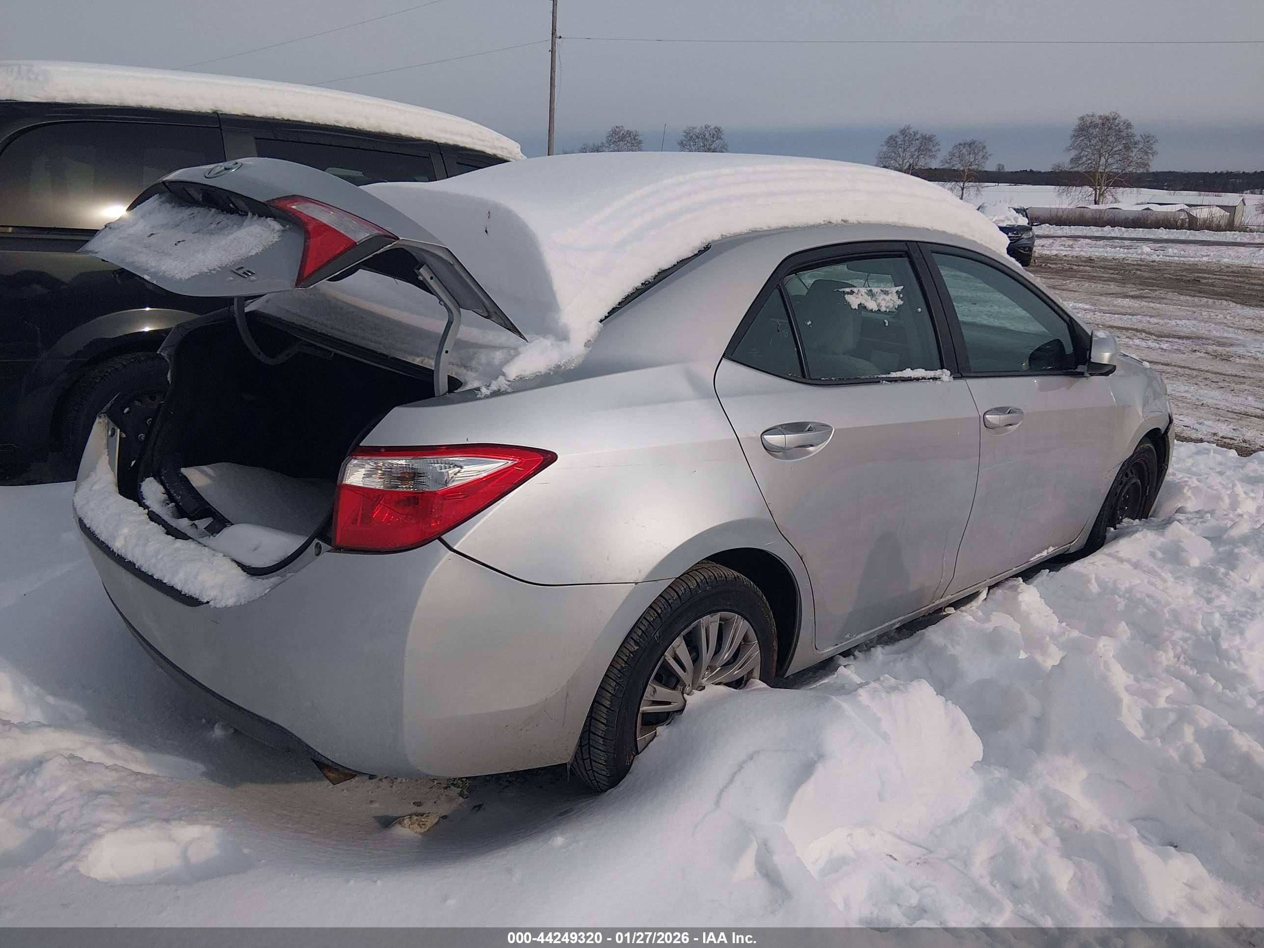 TOYOTA COROLLA image 4