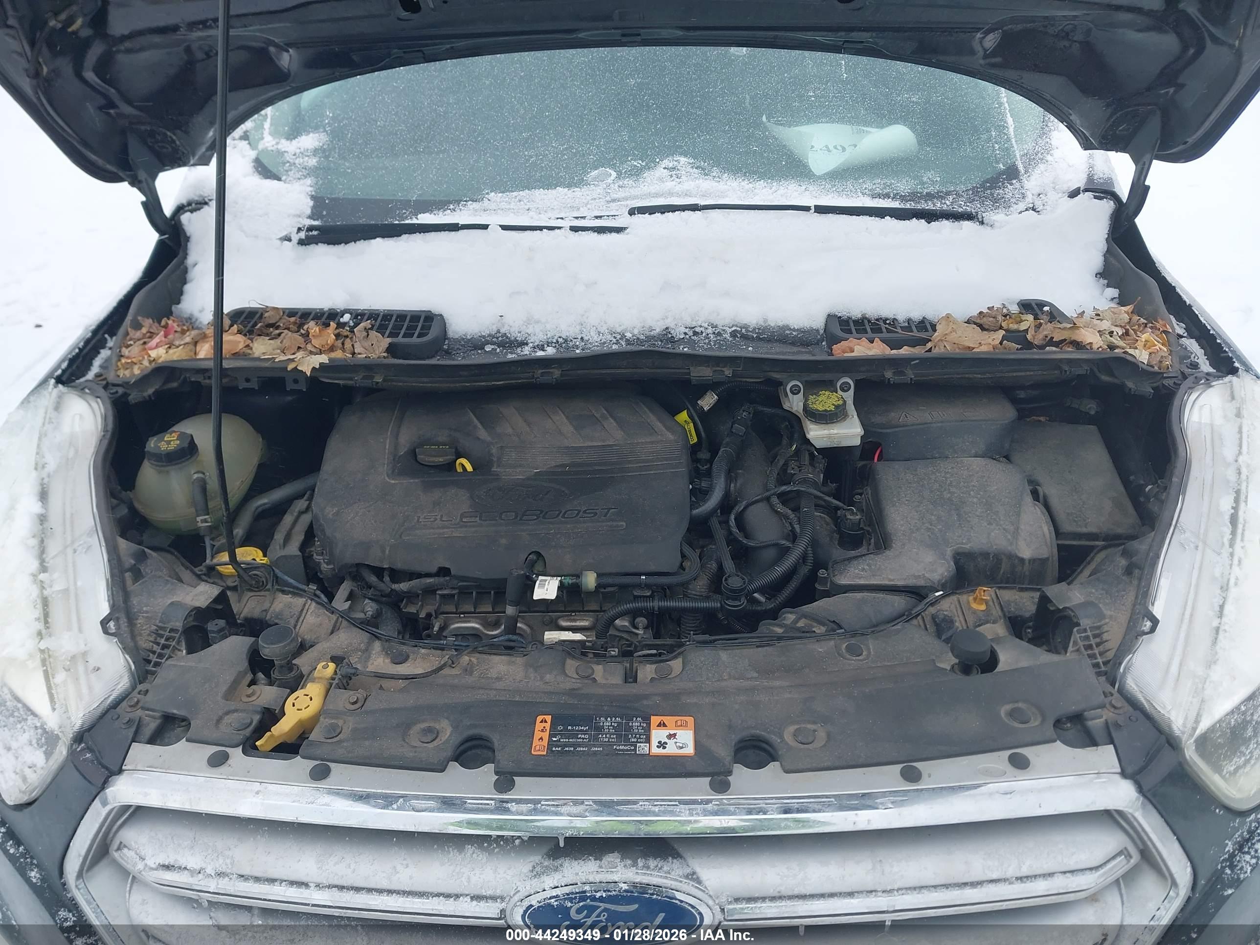 FORD ESCAPE image 10