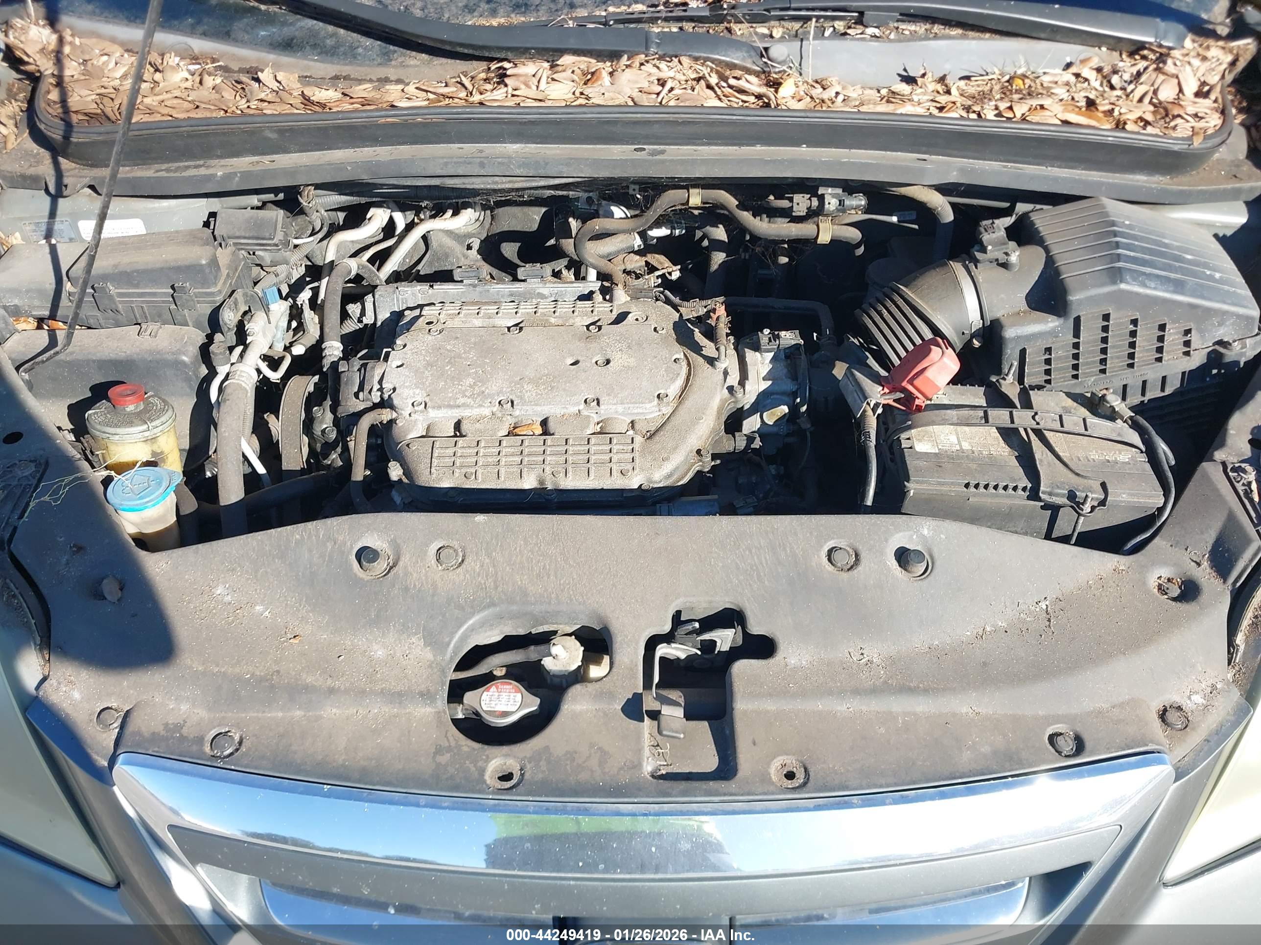 HONDA ODYSSEY image 10