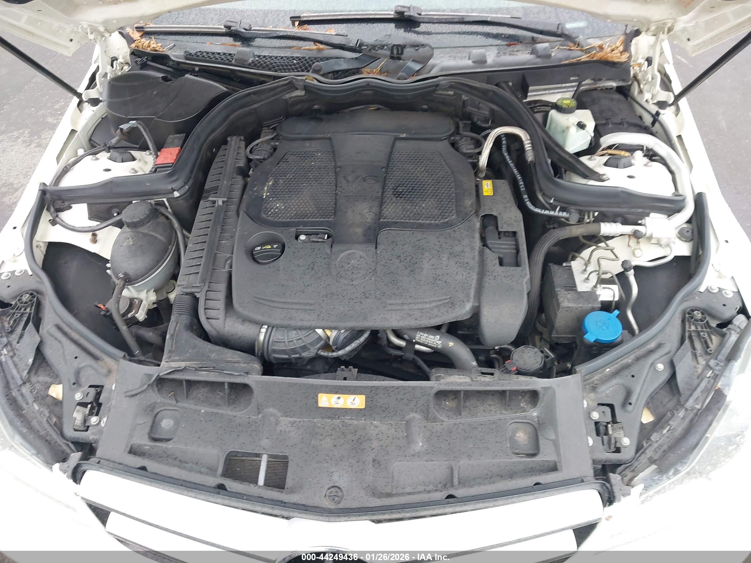 MERCEDES-BENZ C image 10