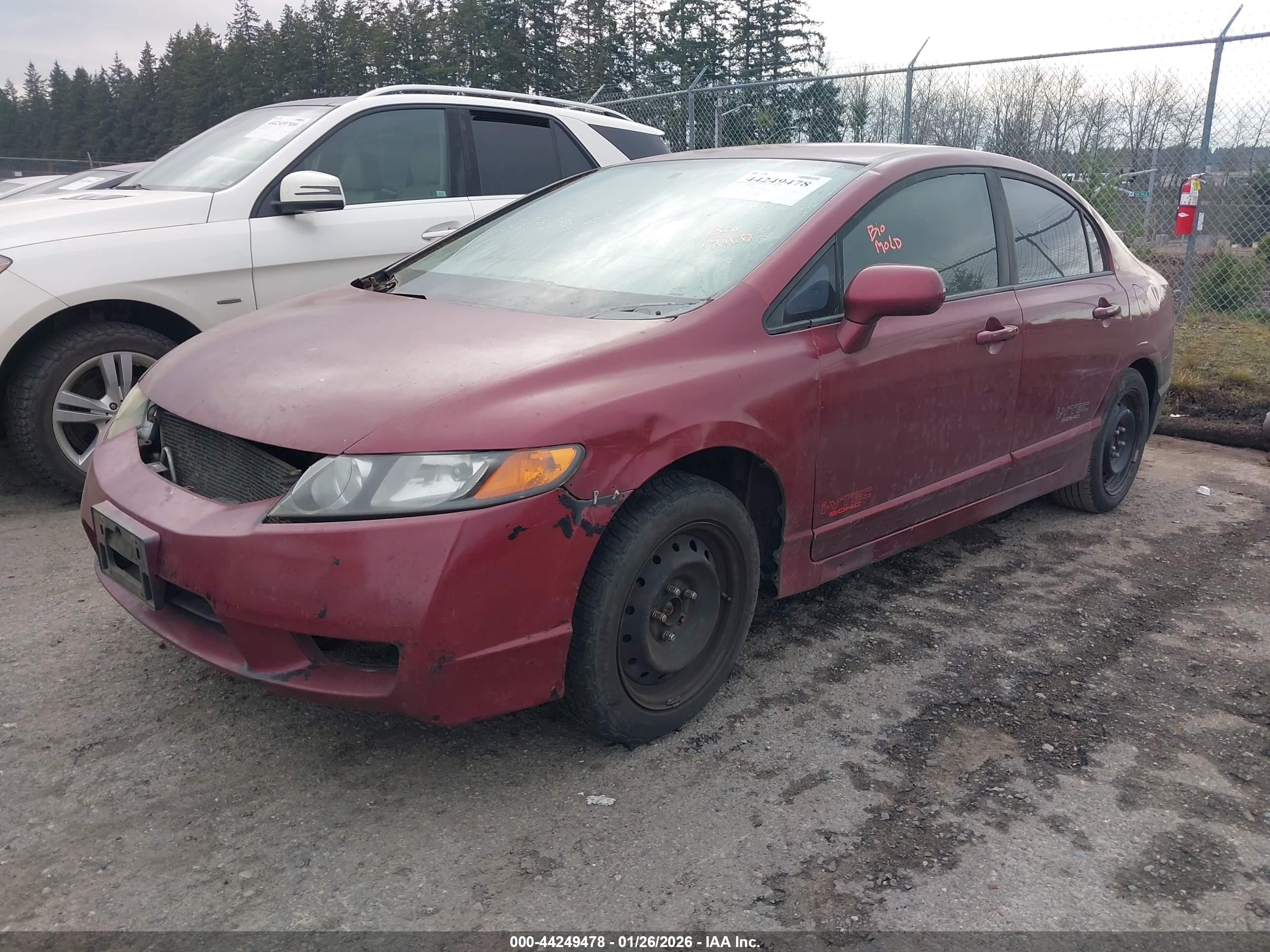 HONDA CIVIC image 2