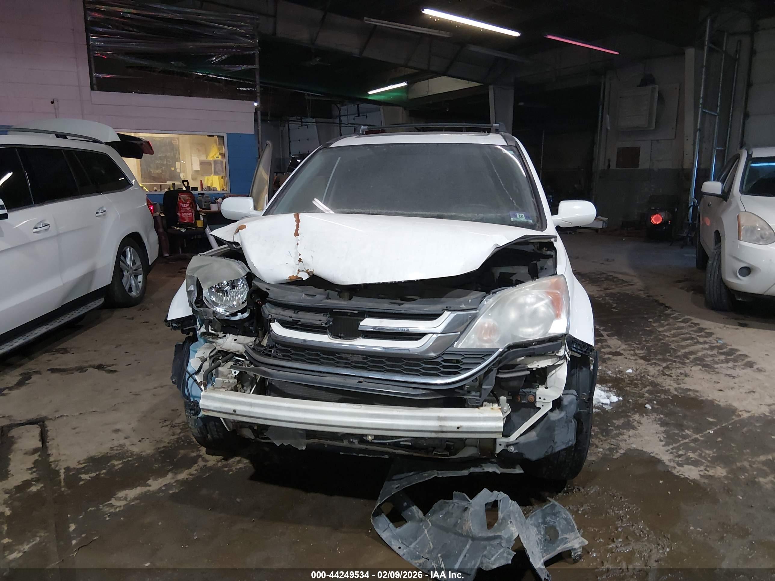 HONDA CR-V image 6