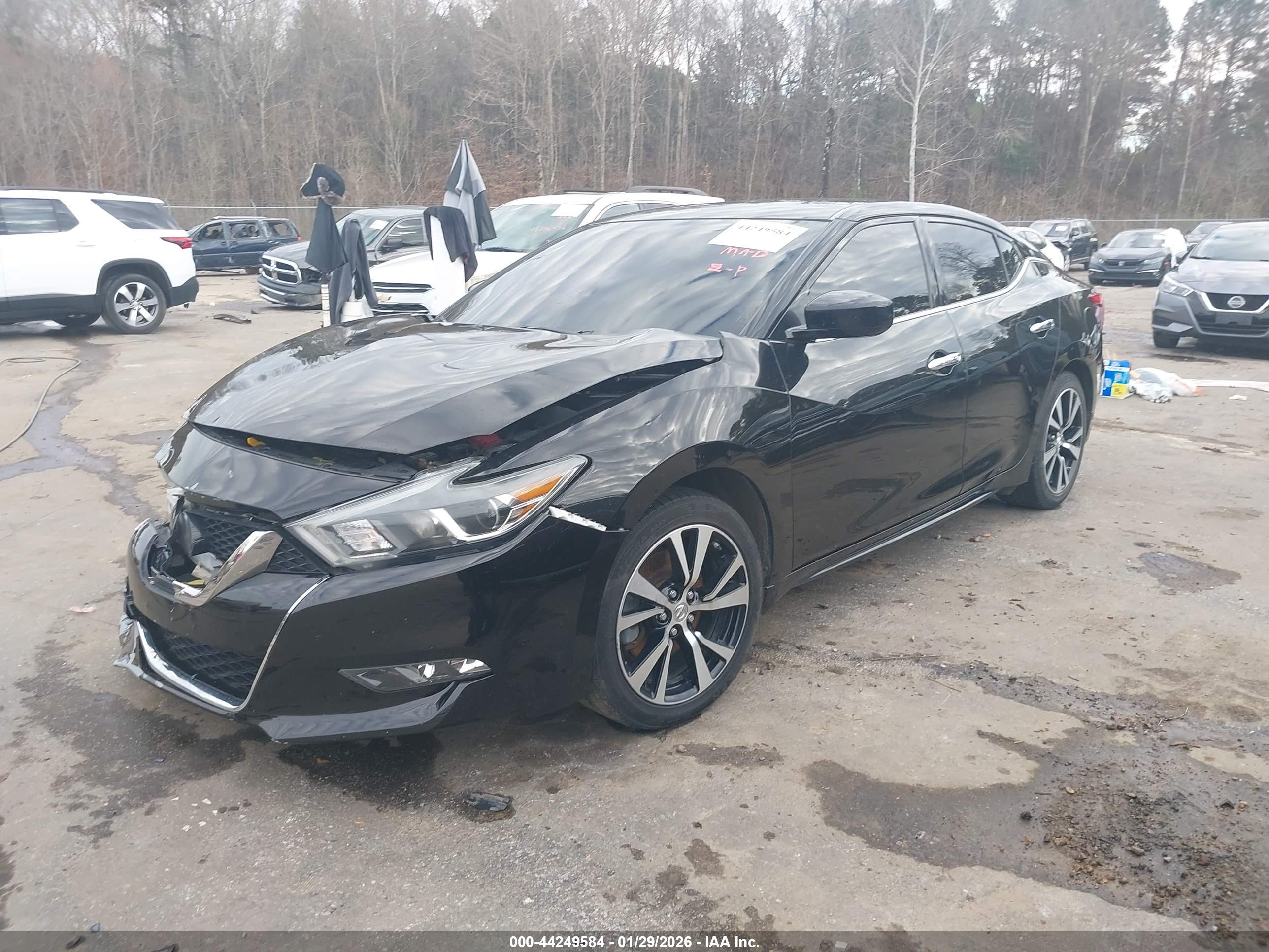 NISSAN MAXIMA image 2