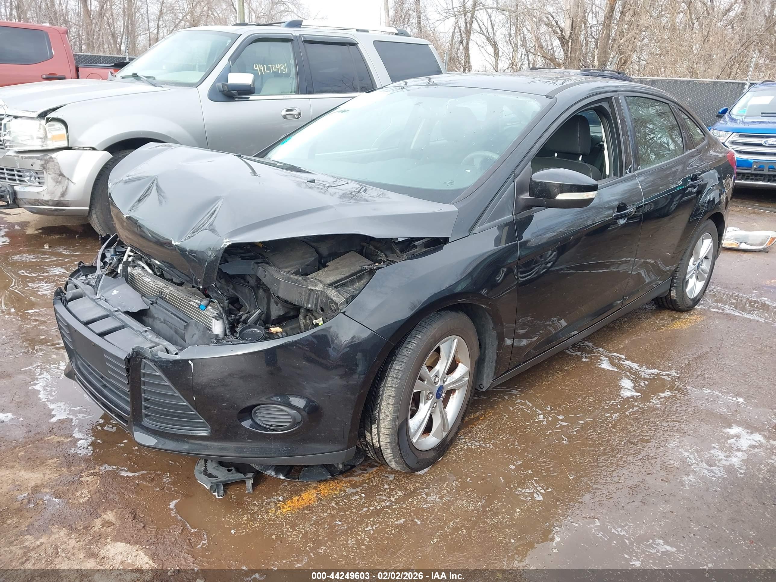 FORD FOCUS image 2