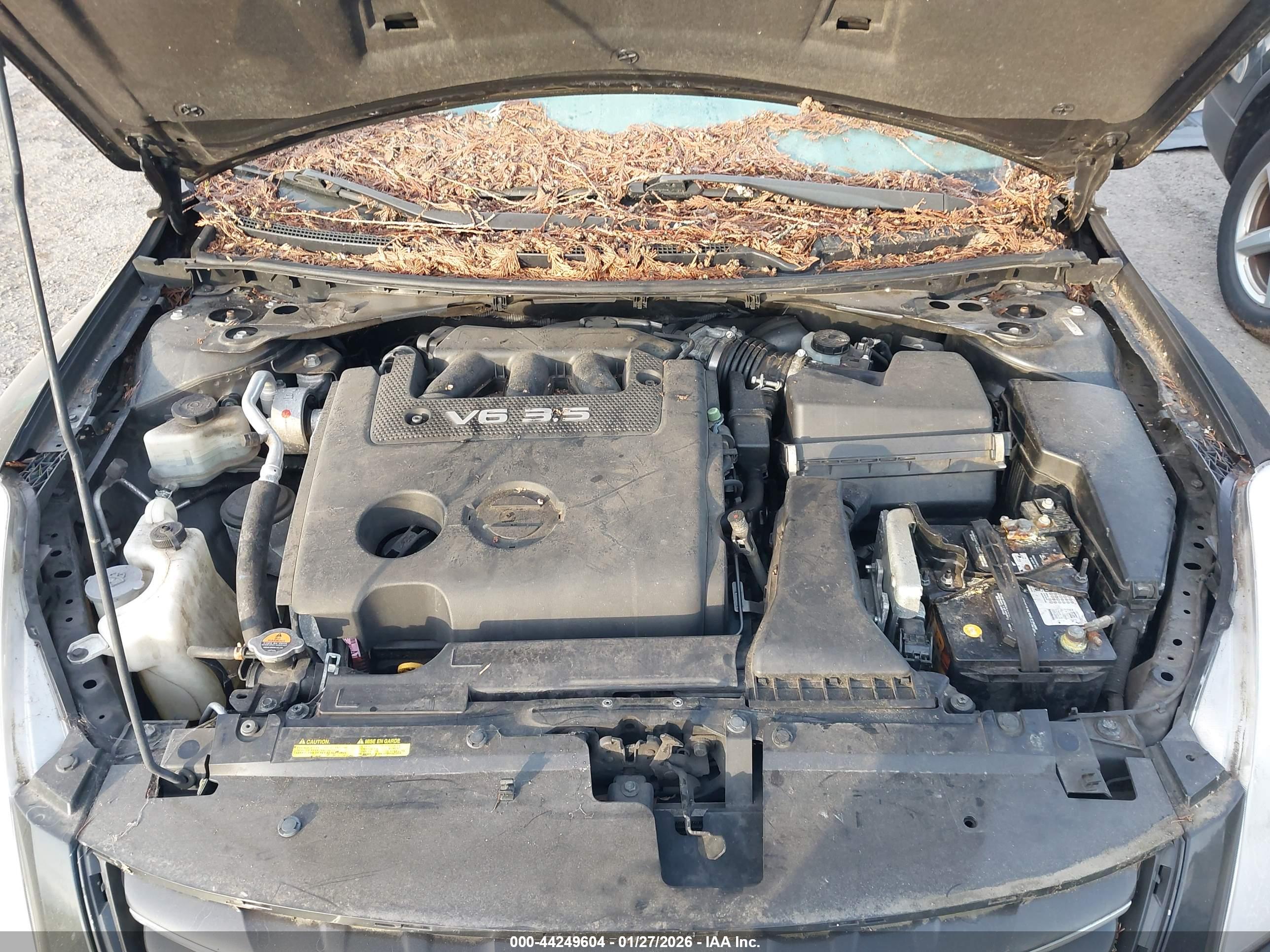 NISSAN ALTIMA image 10