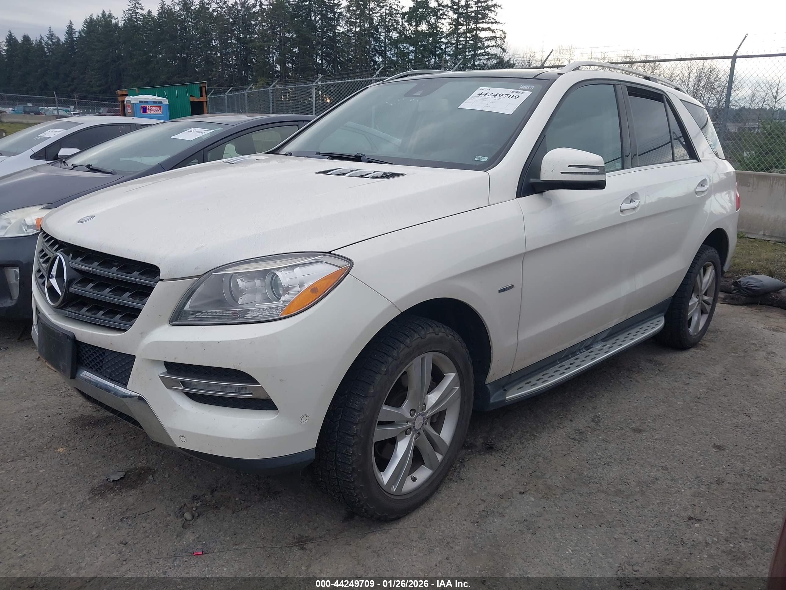 MERCEDES-BENZ ML image 2