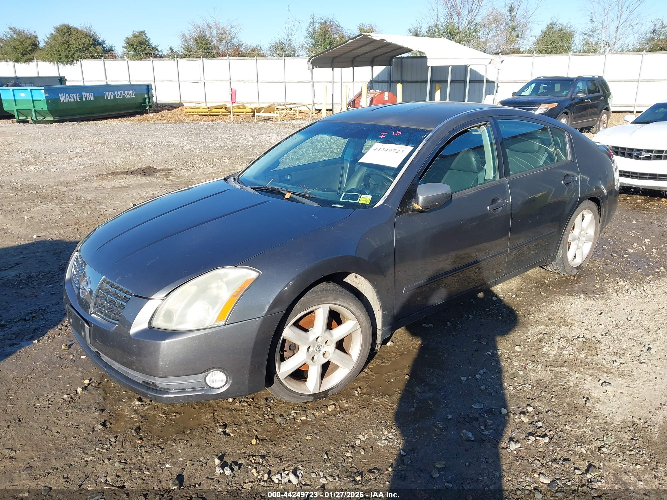 NISSAN MAXIMA image 2