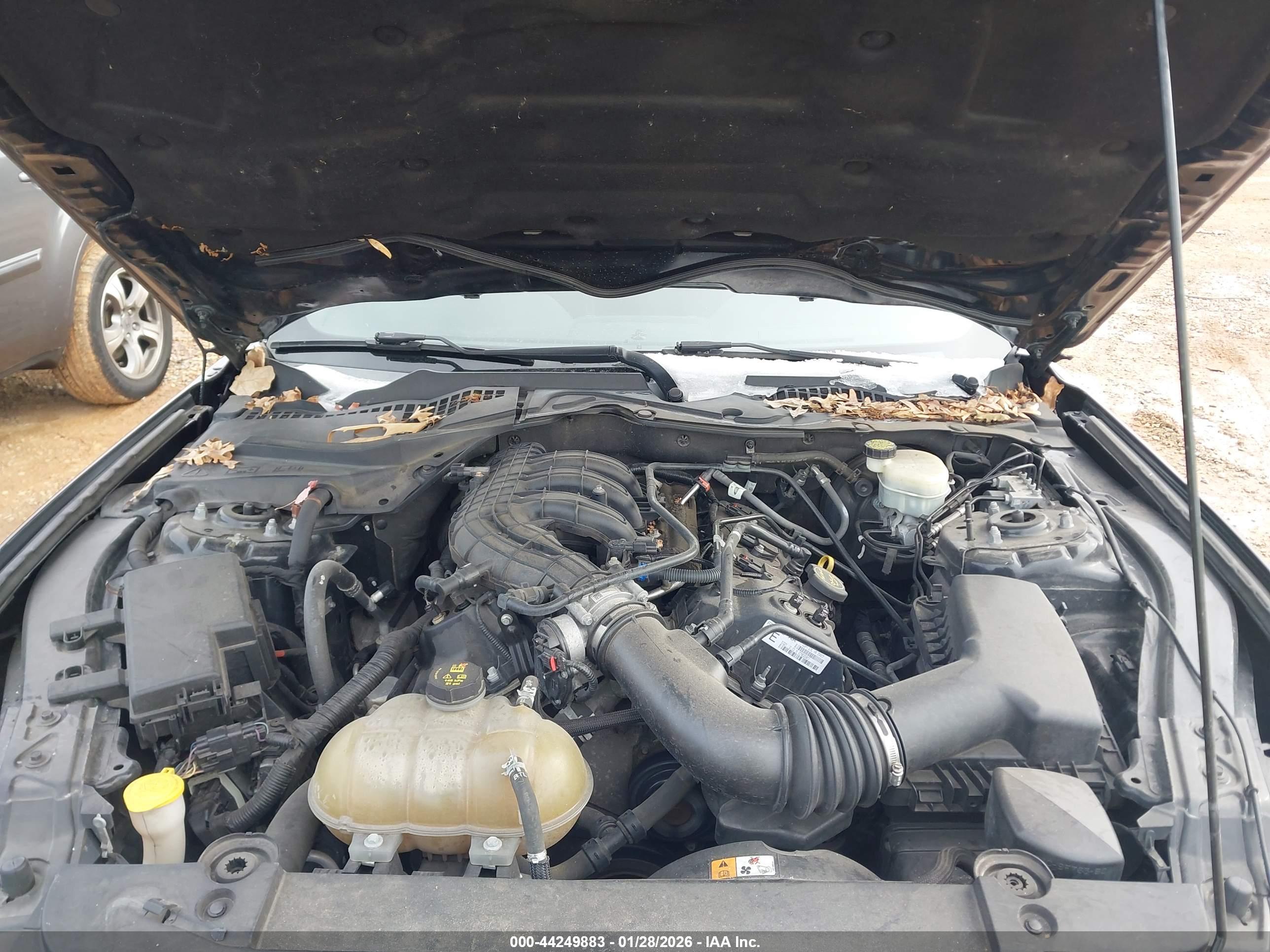 FORD MUSTANG image 10
