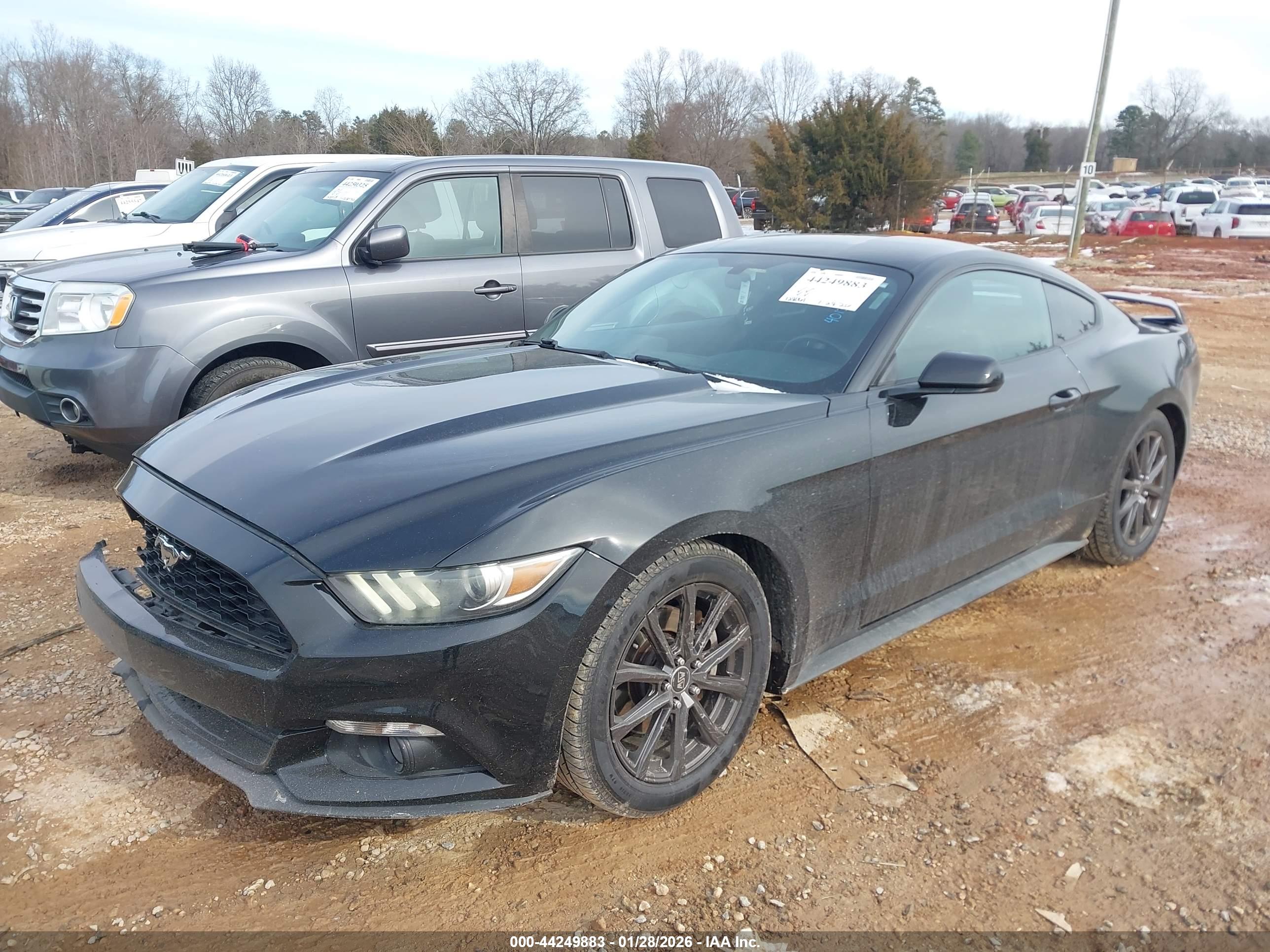 FORD MUSTANG image 2