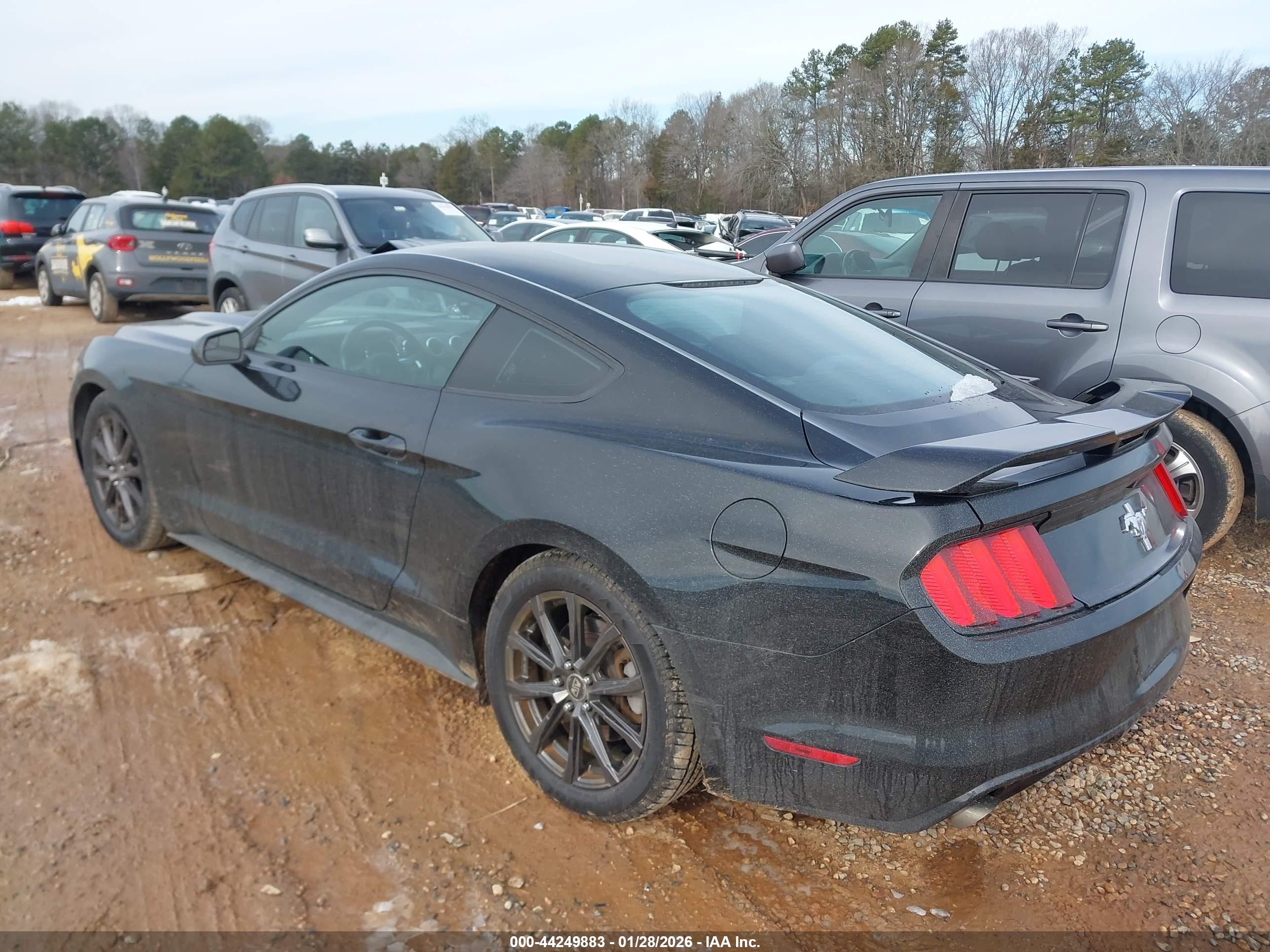 FORD MUSTANG image 3