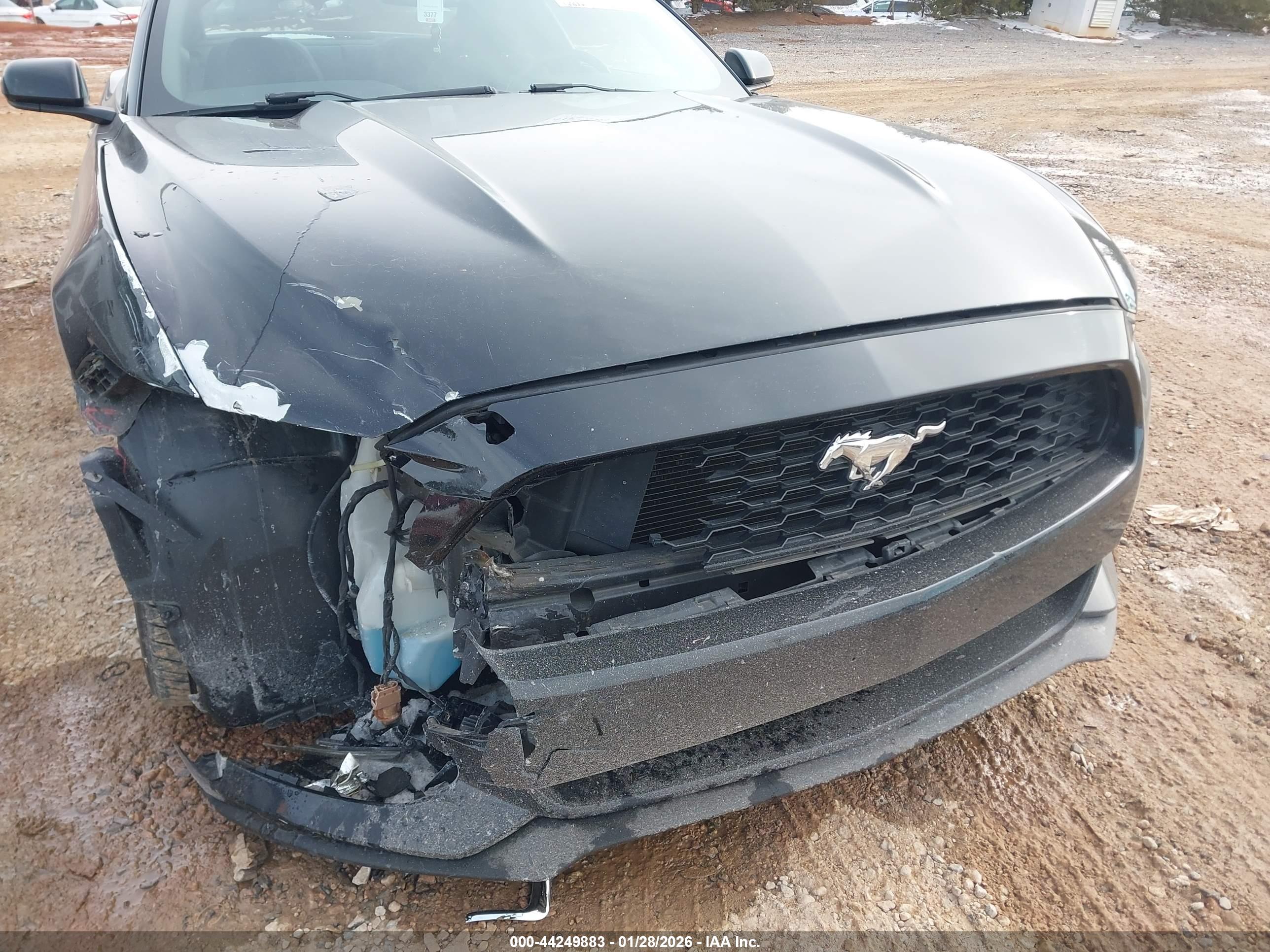 FORD MUSTANG image 6