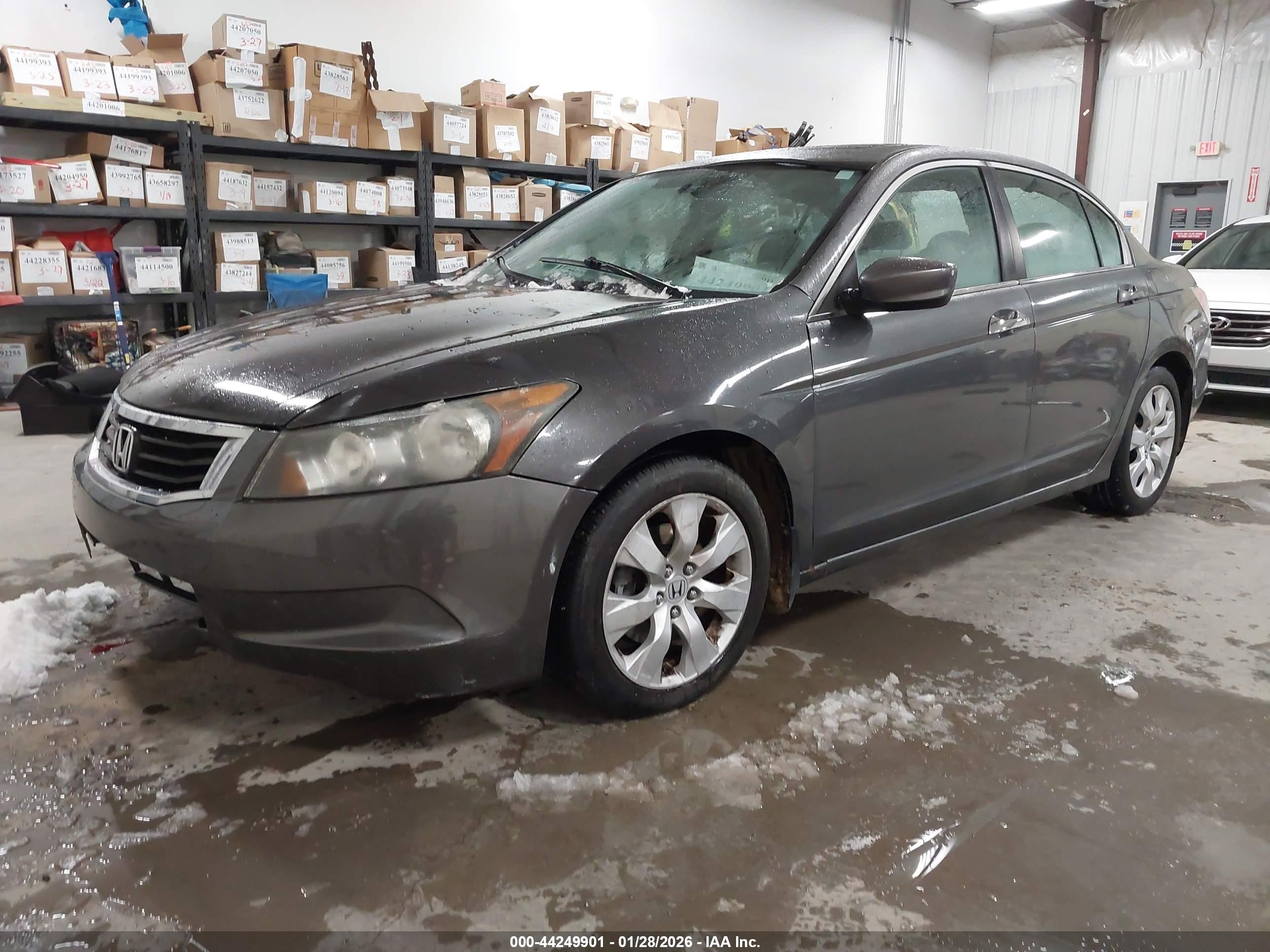 HONDA ACCORD image 2