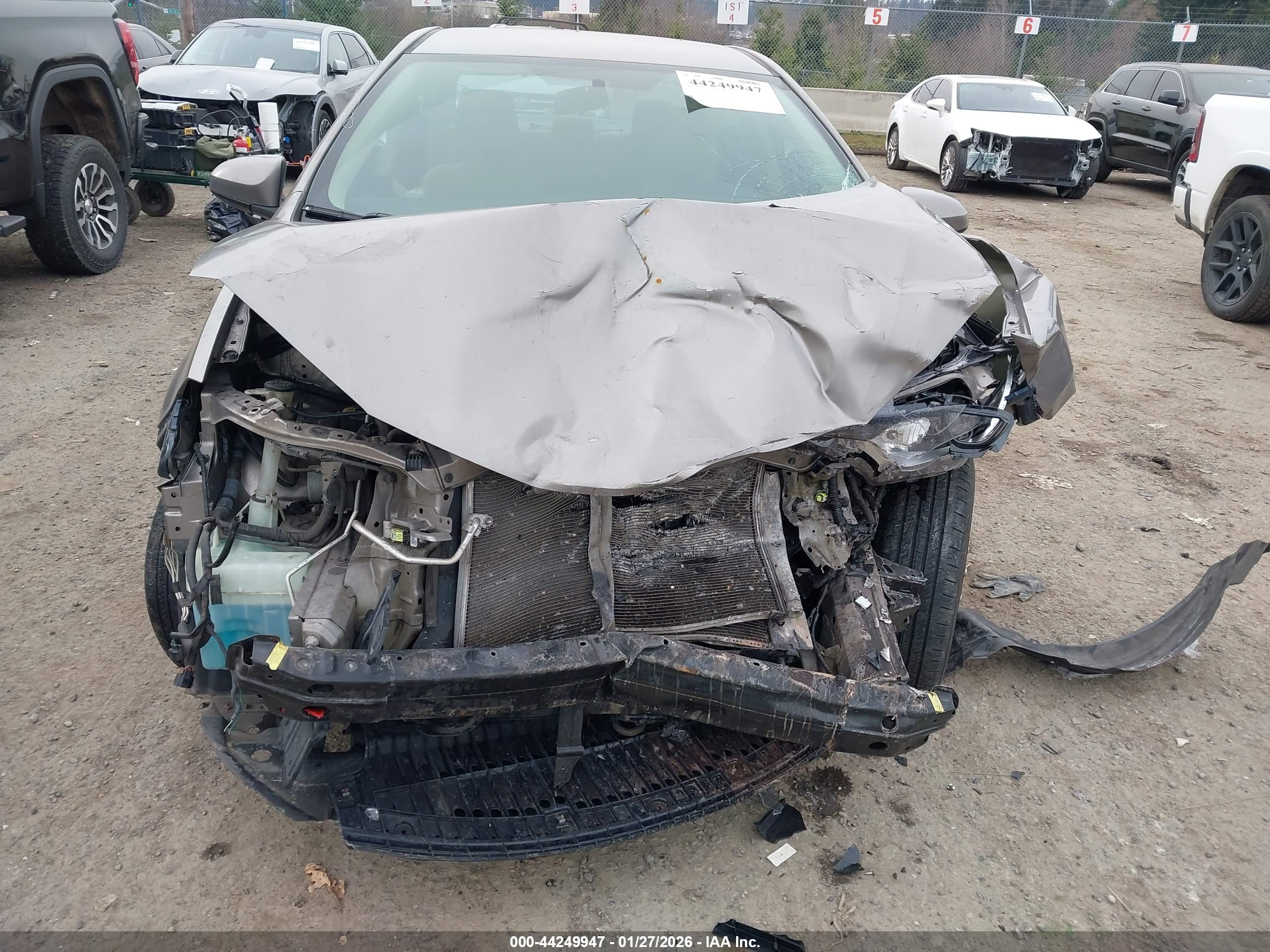 TOYOTA COROLLA image 6