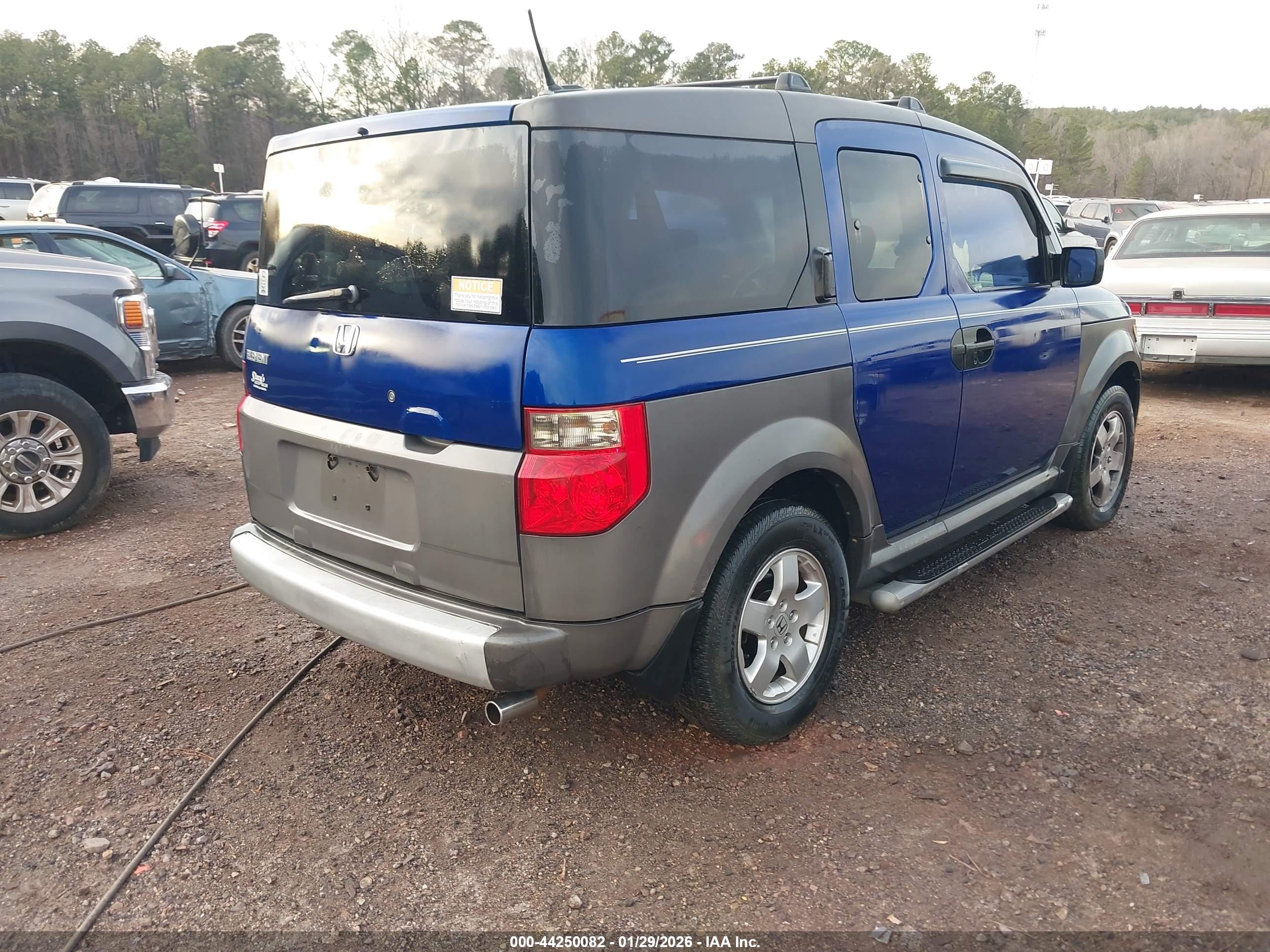 HONDA ELEMENT image 4