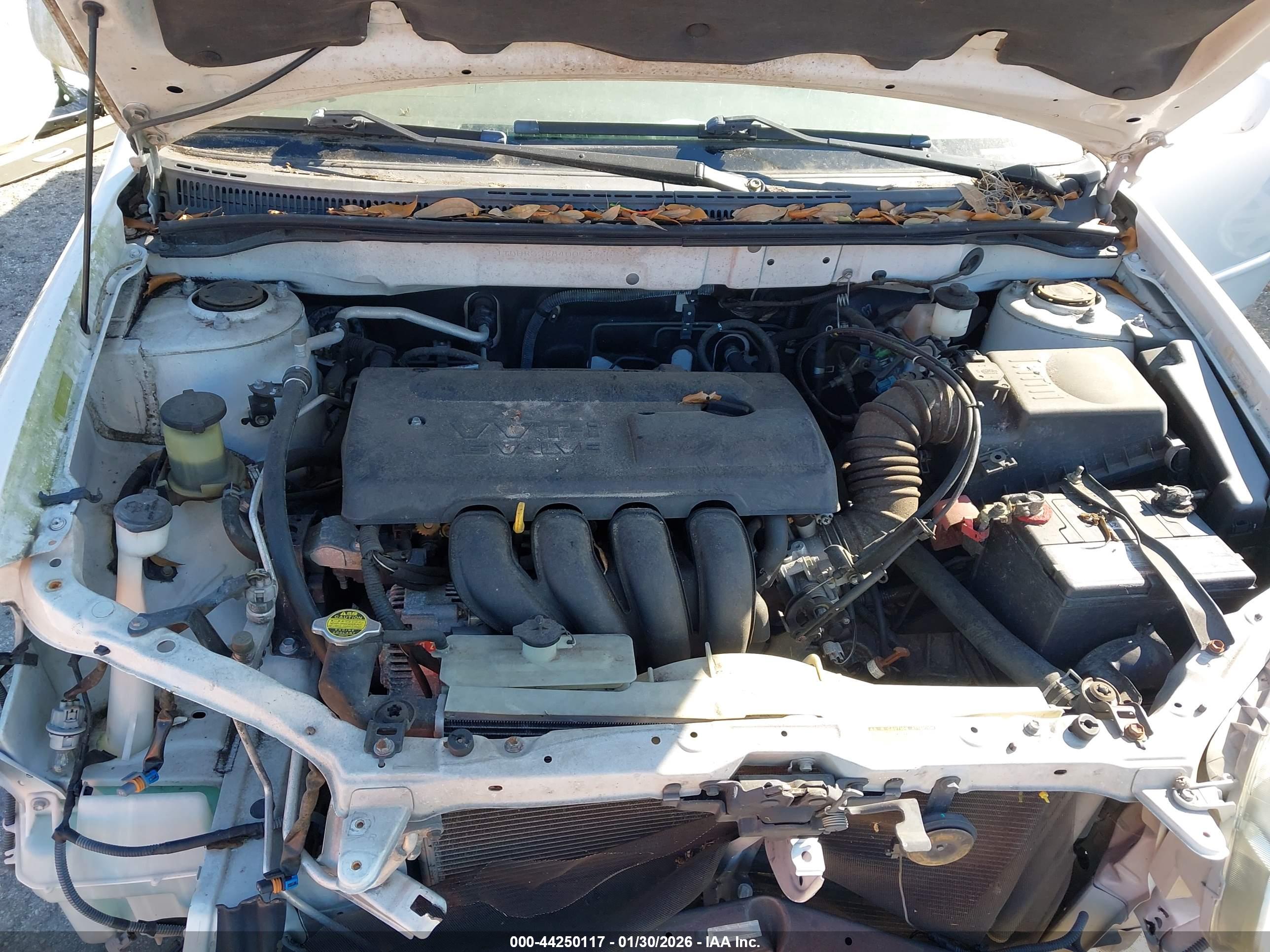 TOYOTA COROLLA image 10