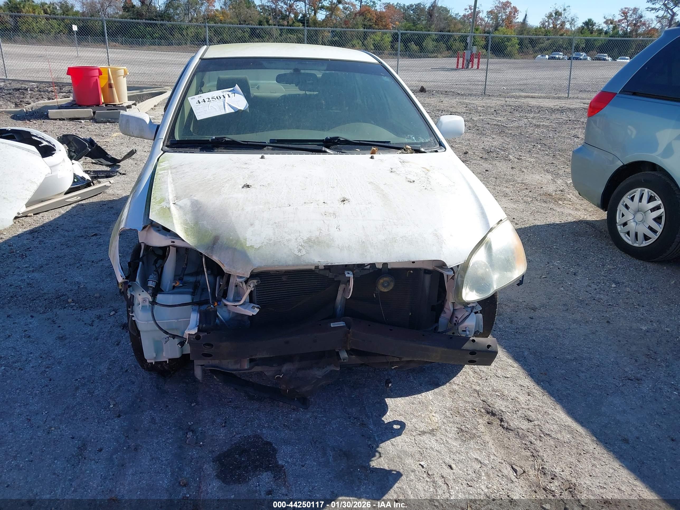 TOYOTA COROLLA image 6